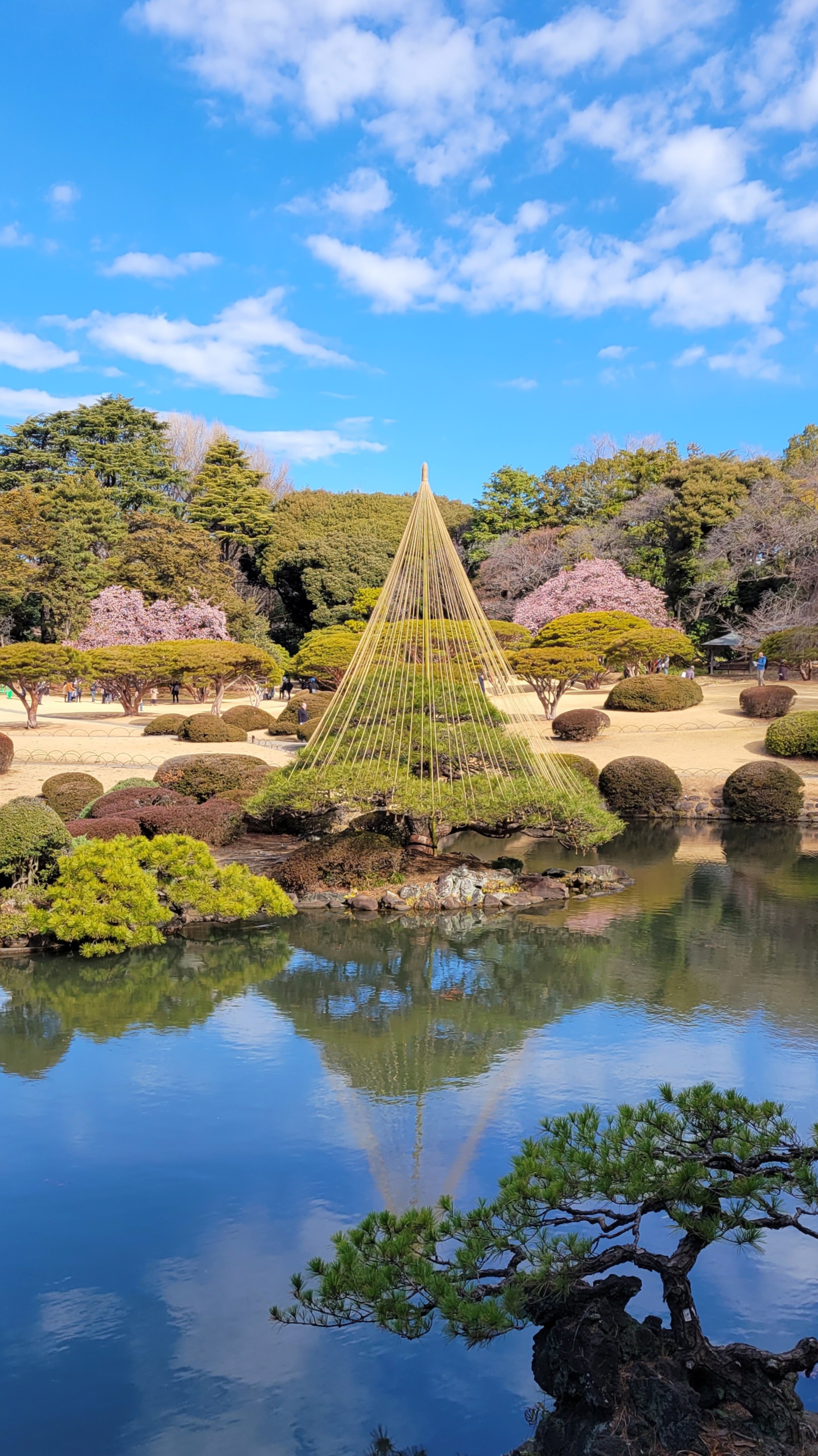 新宿御苑にて、「快晴の新宿御苑の池の風景」と感じた写真です。