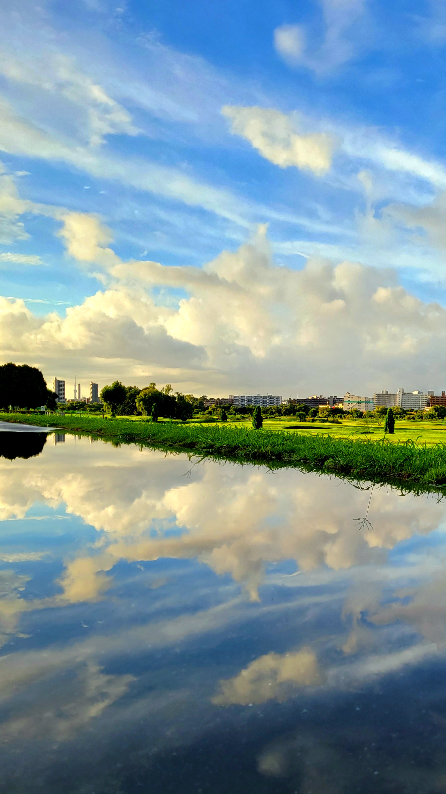荒川土手にて、「雨上がりの空と水たまりの風景」と感じた写真です。