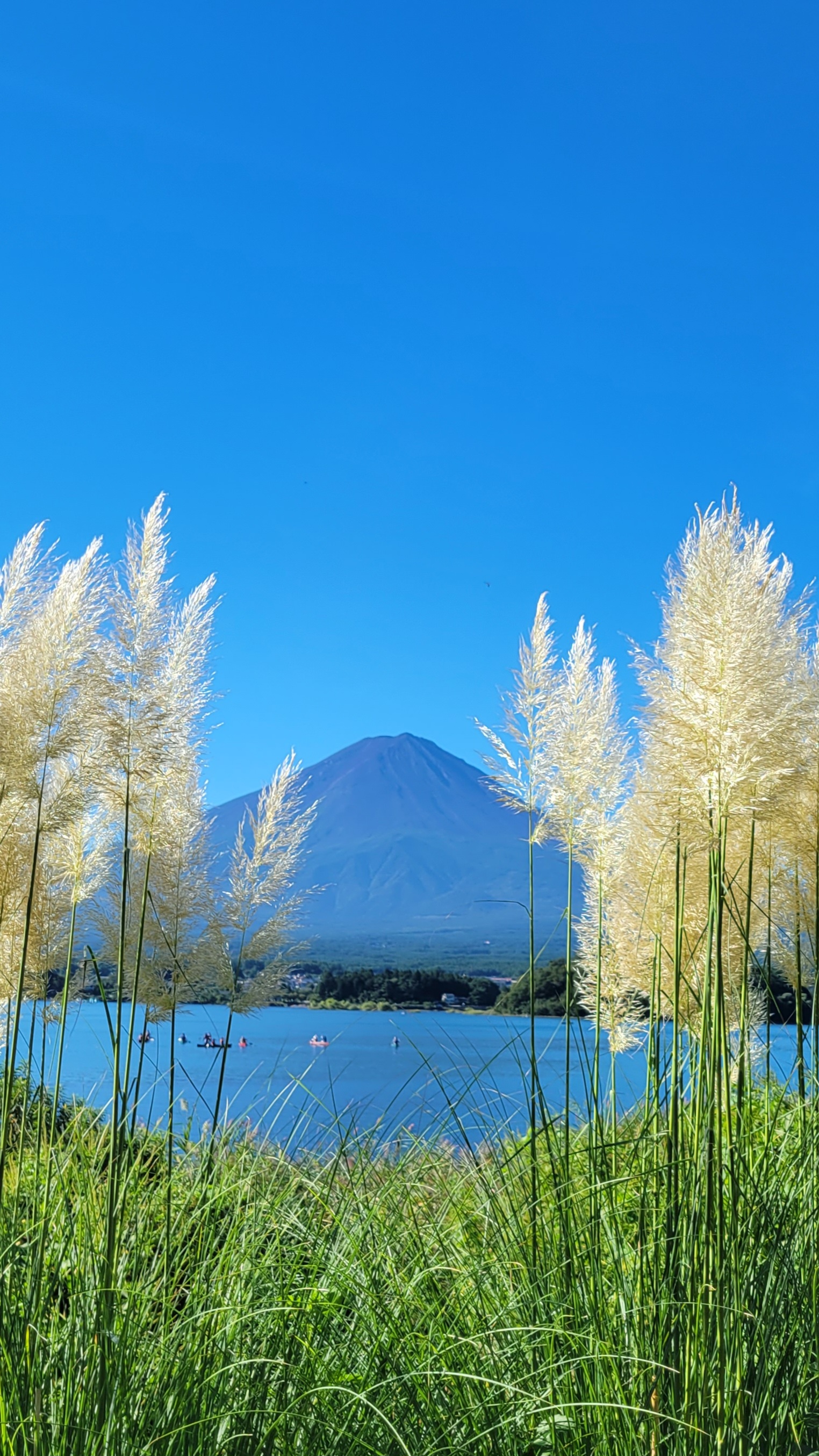 大石公園にて、「ススキ越しに眺める河口湖と富士山」と感じた写真です。