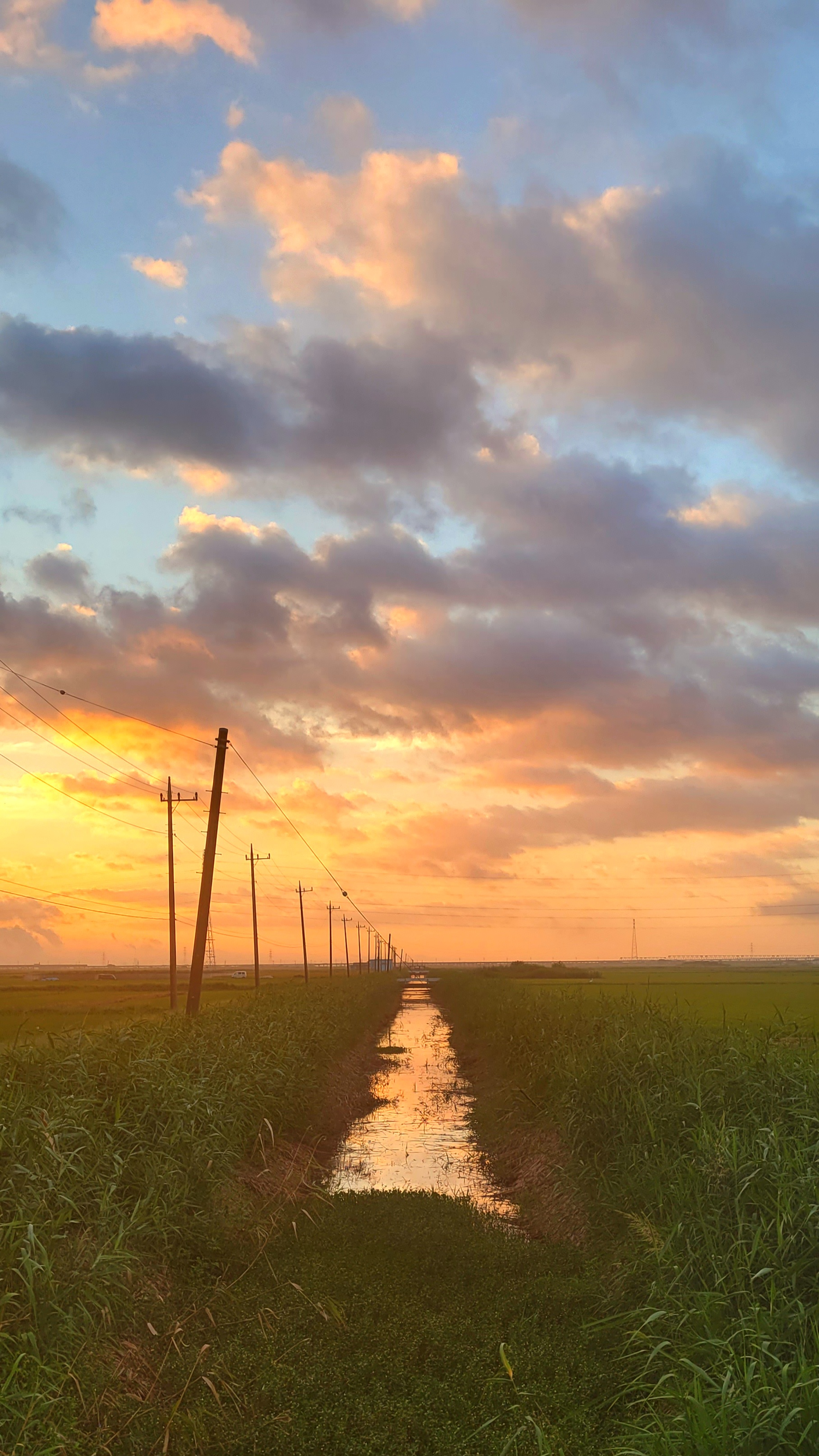 千葉県内にて、「田んぼの水路と朝焼けが描くダイナミックな風景」と感じた写真です。