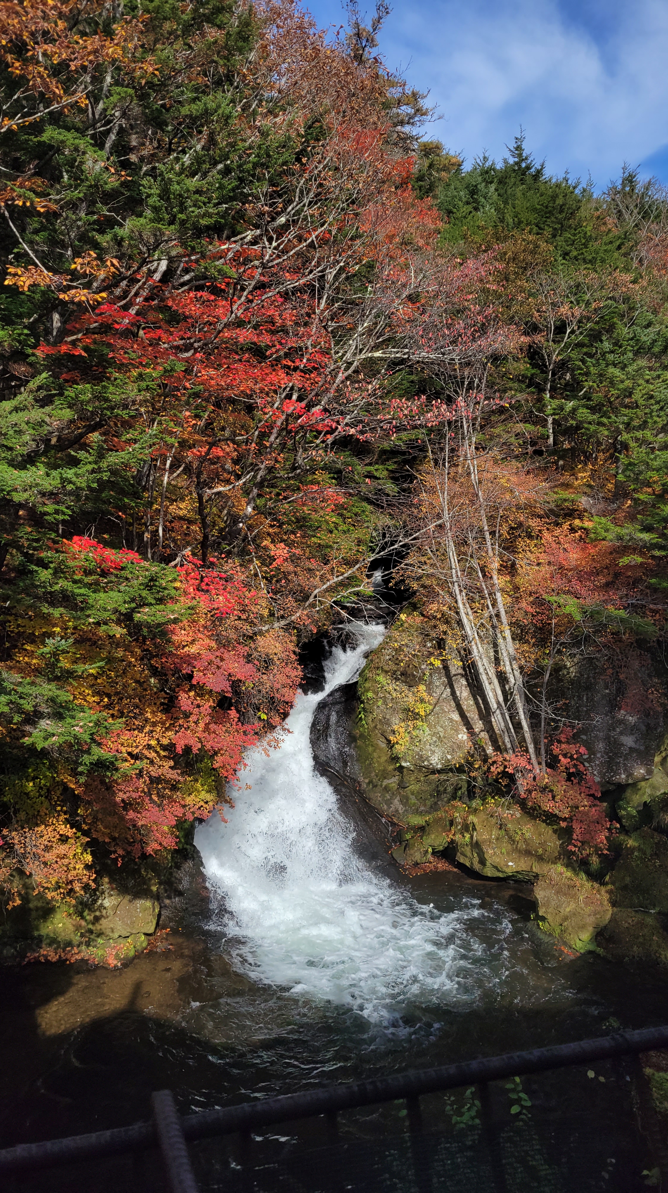 龍頭の滝にて、「龍頭の滝と紅葉の競演」と感じた写真です。
