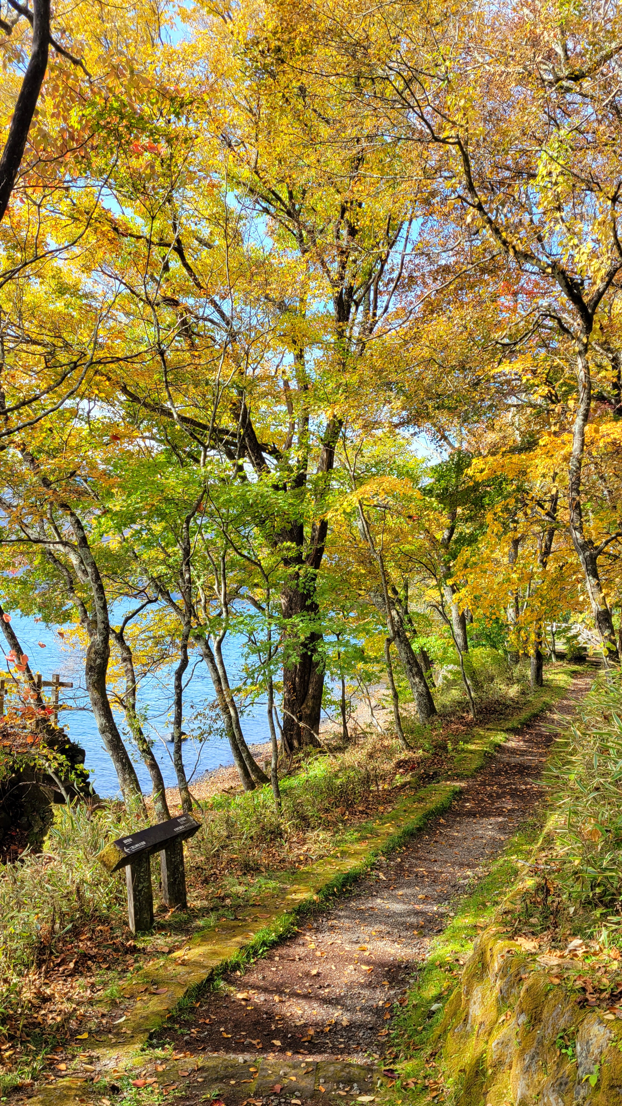 中禅寺湖にて、「中禅寺湖畔の鮮やかな紅葉」と感じた写真です。