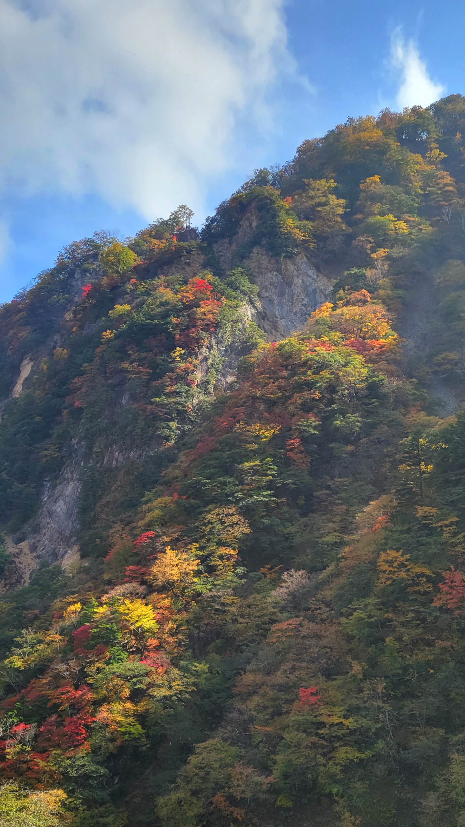 華厳の滝にて、「華厳の滝から眺める紅葉の山々」と感じた写真です。
