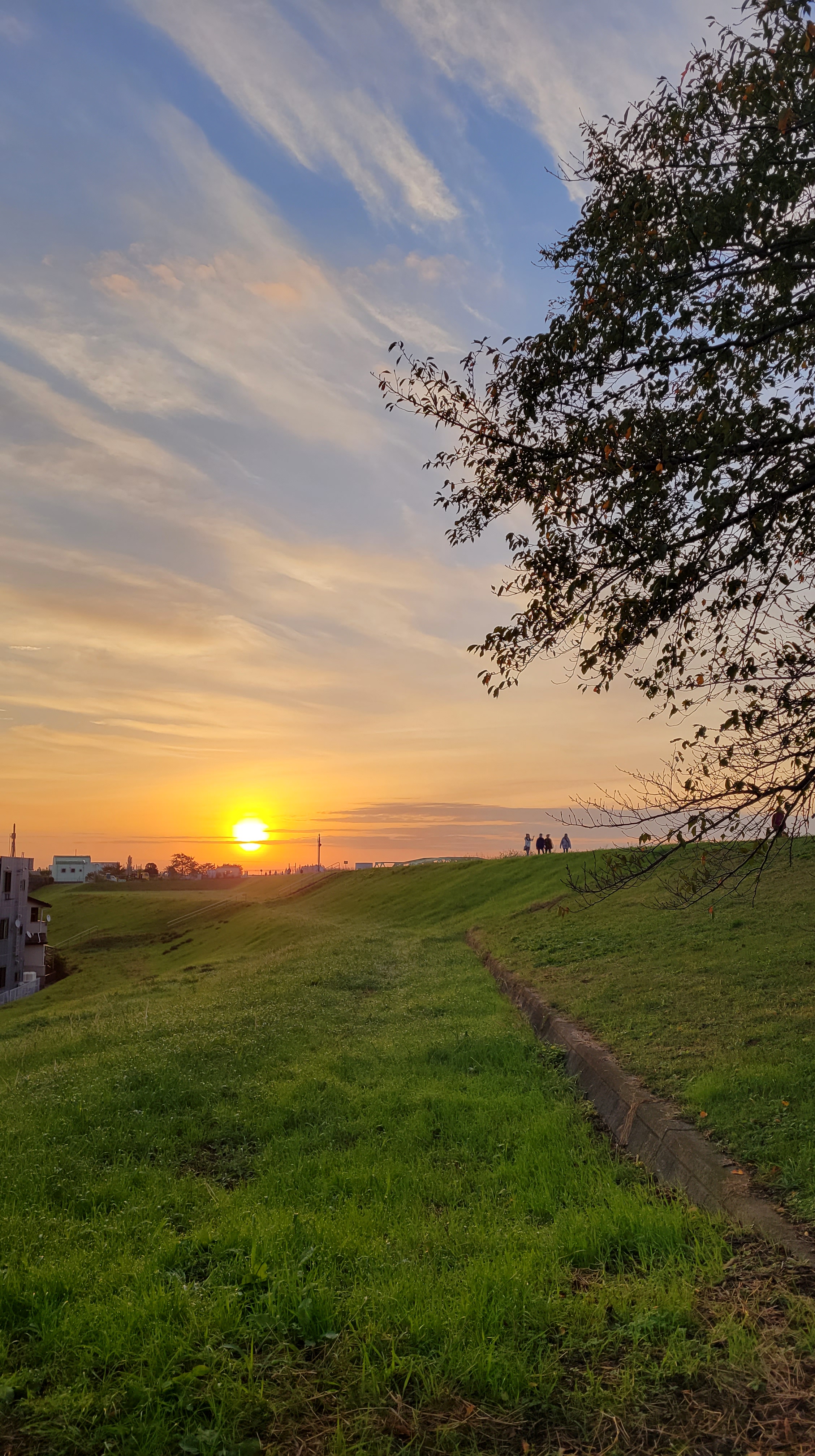 荒川土手にて、「朝焼けに染まる荒川土手の風景」と感じた写真です。