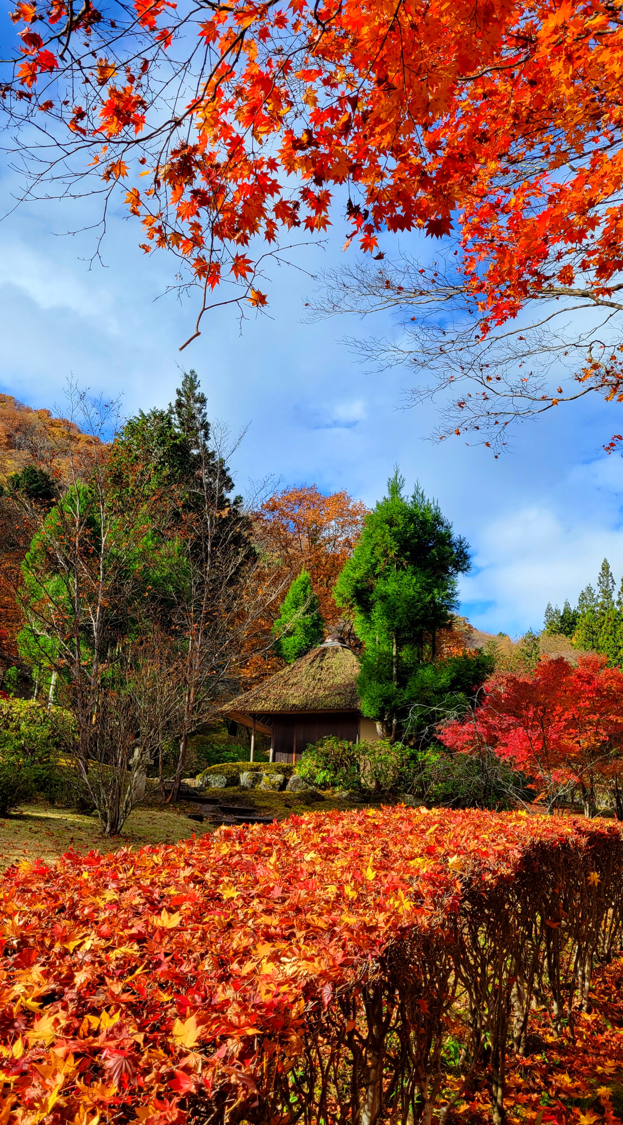 古峯神社にて、「紅葉の垣根と小屋が描く秋の風景」と感じた写真です。