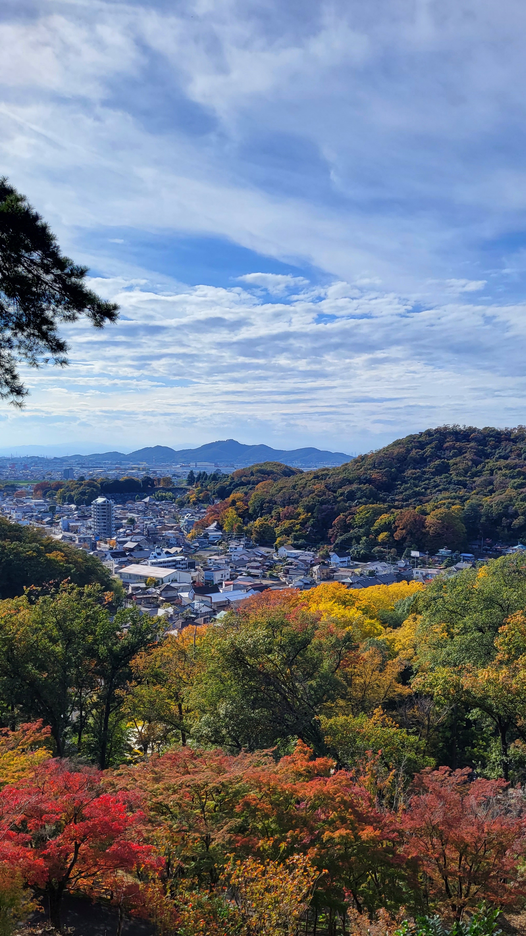 織姫公園もみじ谷にて、「紅葉の丘から望む街並みの風景」と感じた写真です。