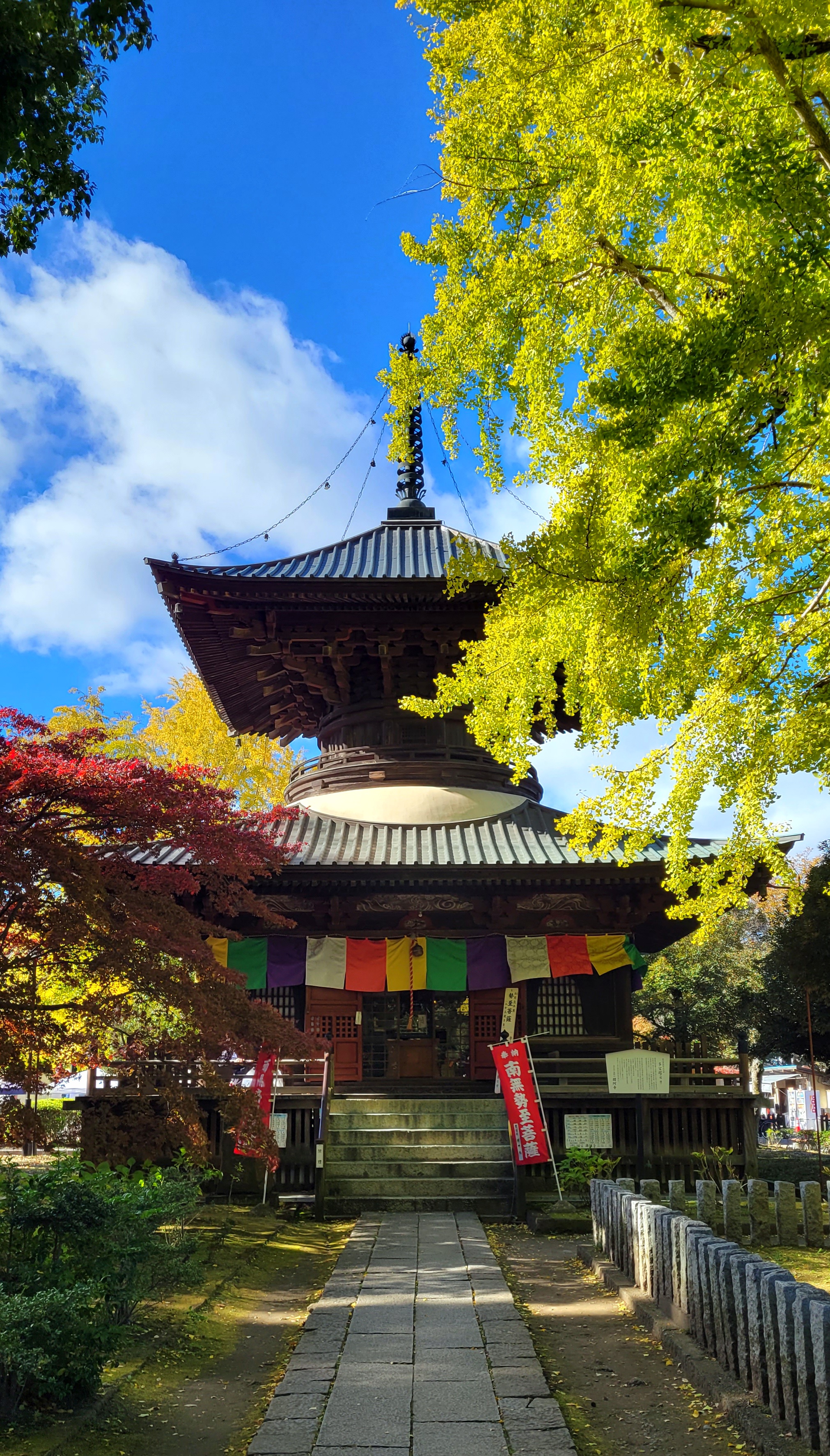 鑁阿寺(ばんなじ)にて、「銀杏と寺院が作り出す秋の趣」と感じた写真です。