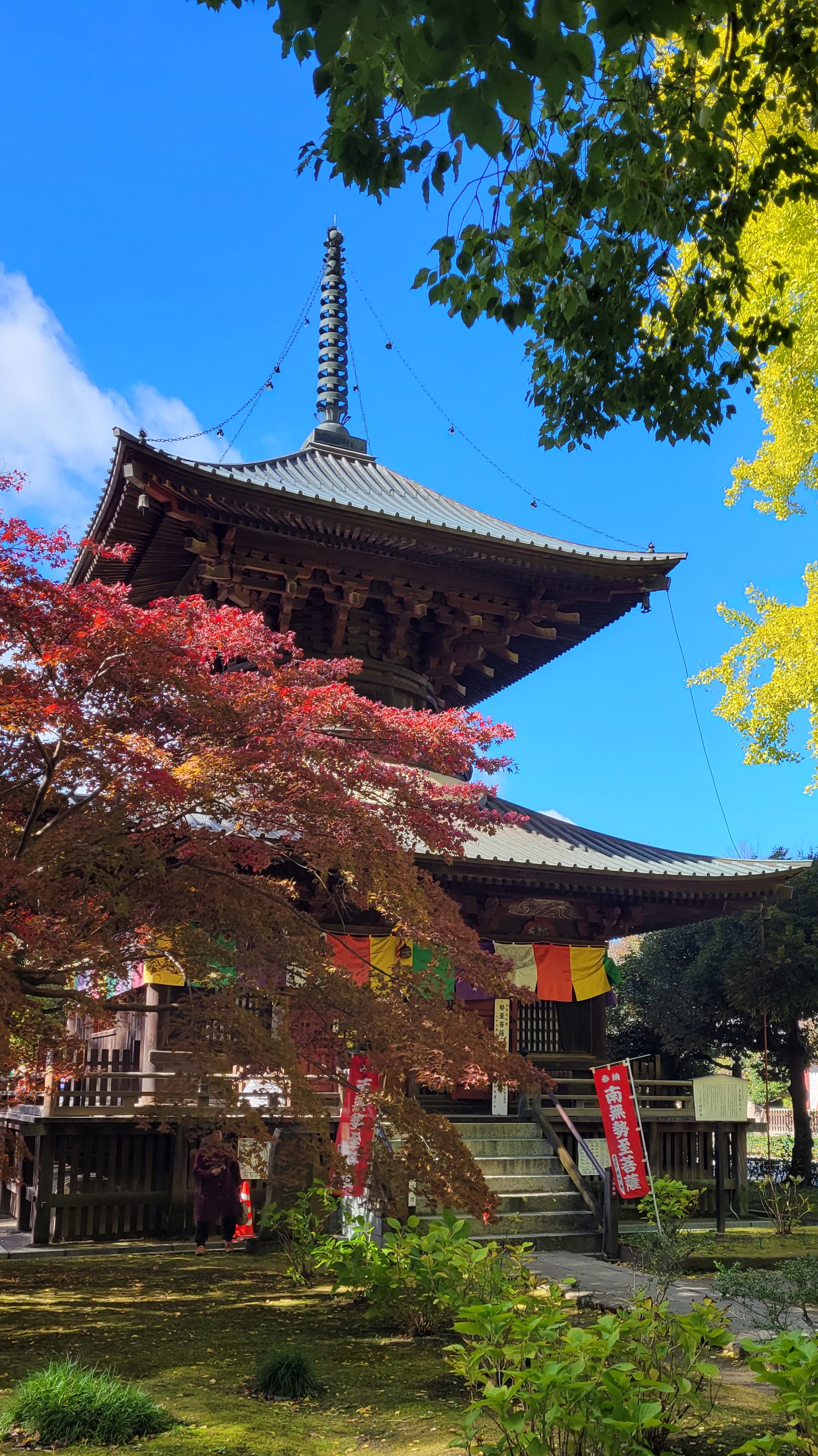 鑁阿寺(ばんなじ)にて、「銀杏ともみじと寺院の美しいバランス」と感じた写真です。
