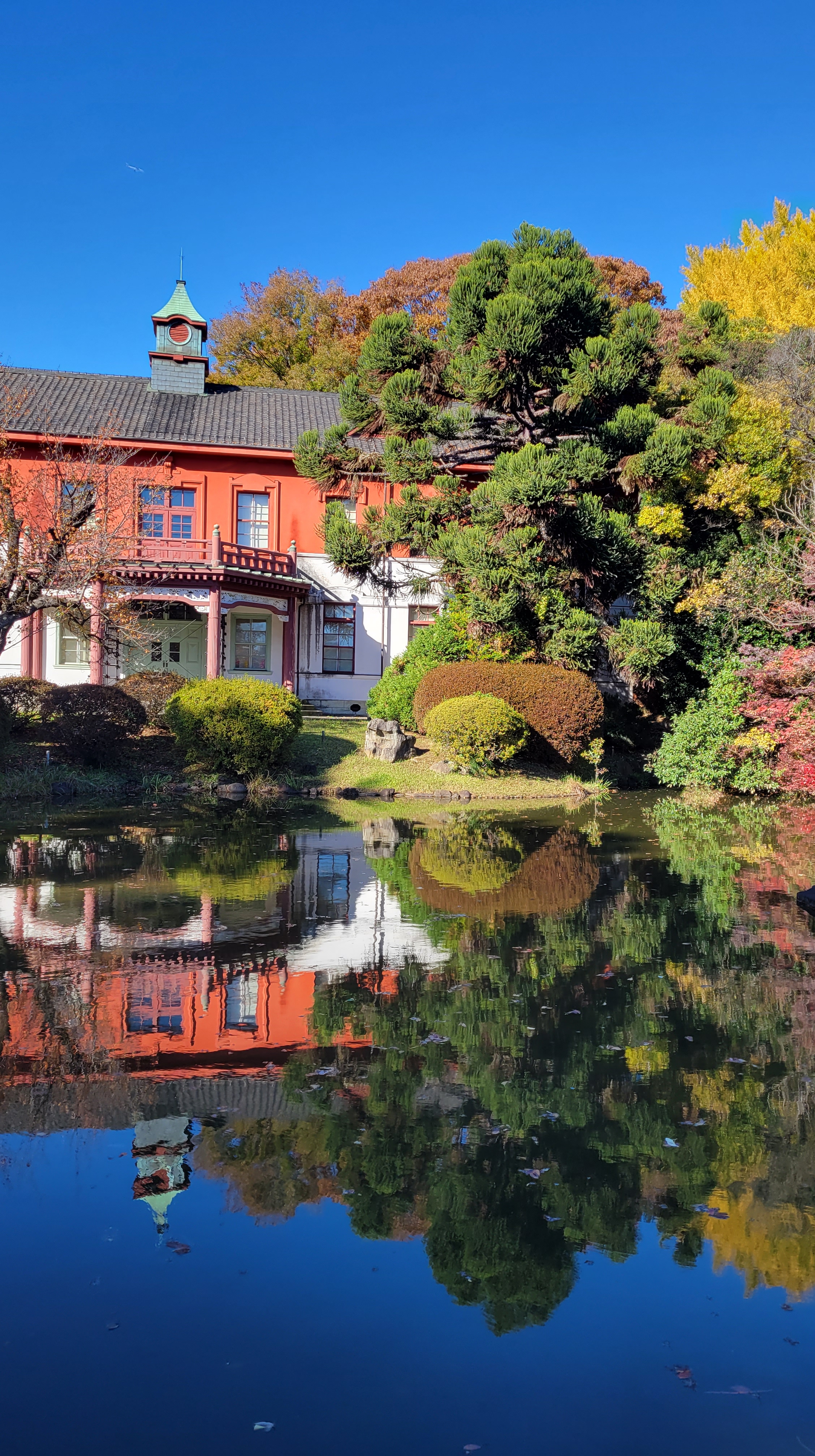 小石川植物園にて、「池に映る建物と紅葉の美しいコントラスト」と感じた写真です。