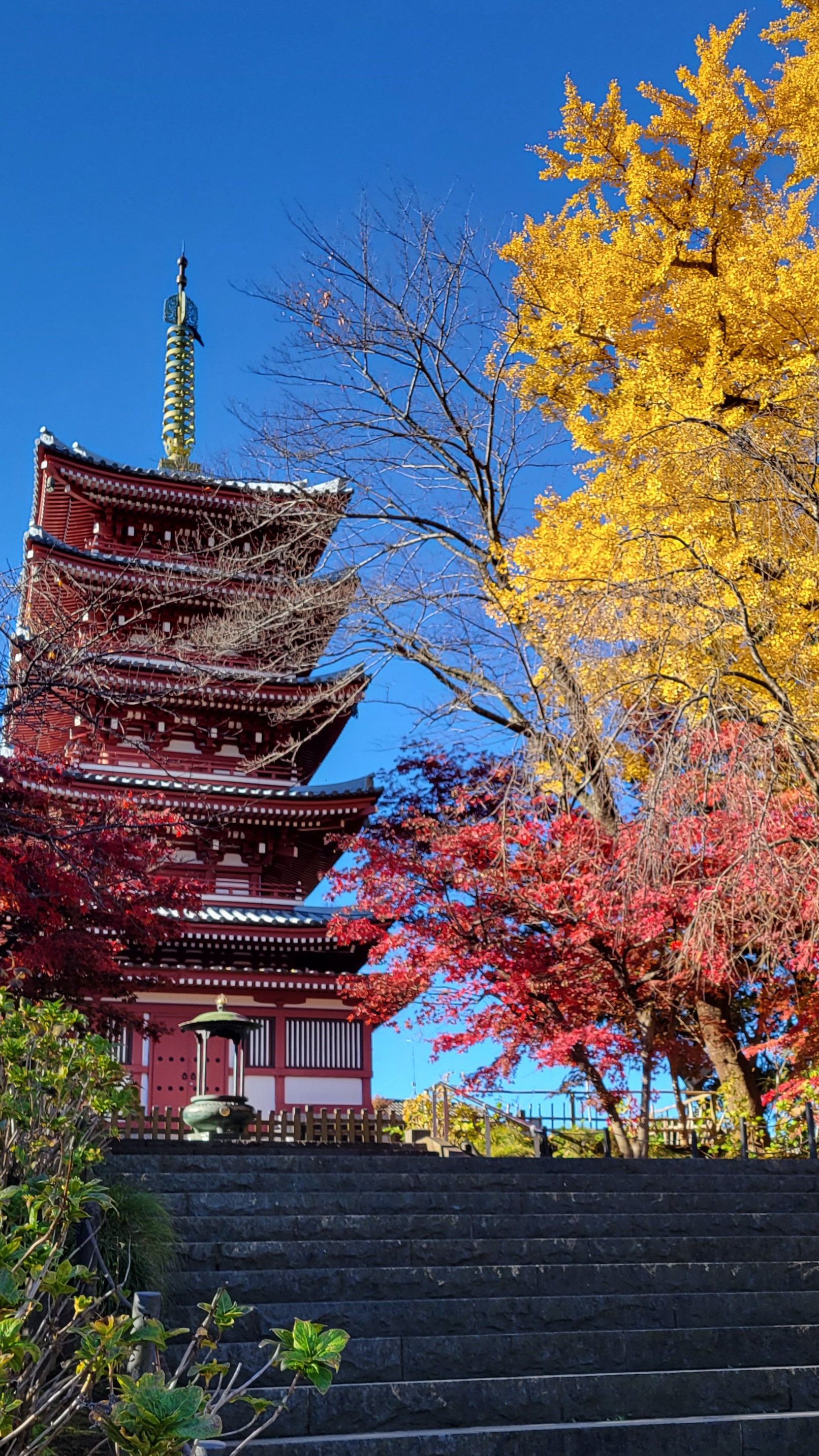 本土寺にて、「五重塔と紅葉が織りなす本土寺の秋」と感じた写真です。