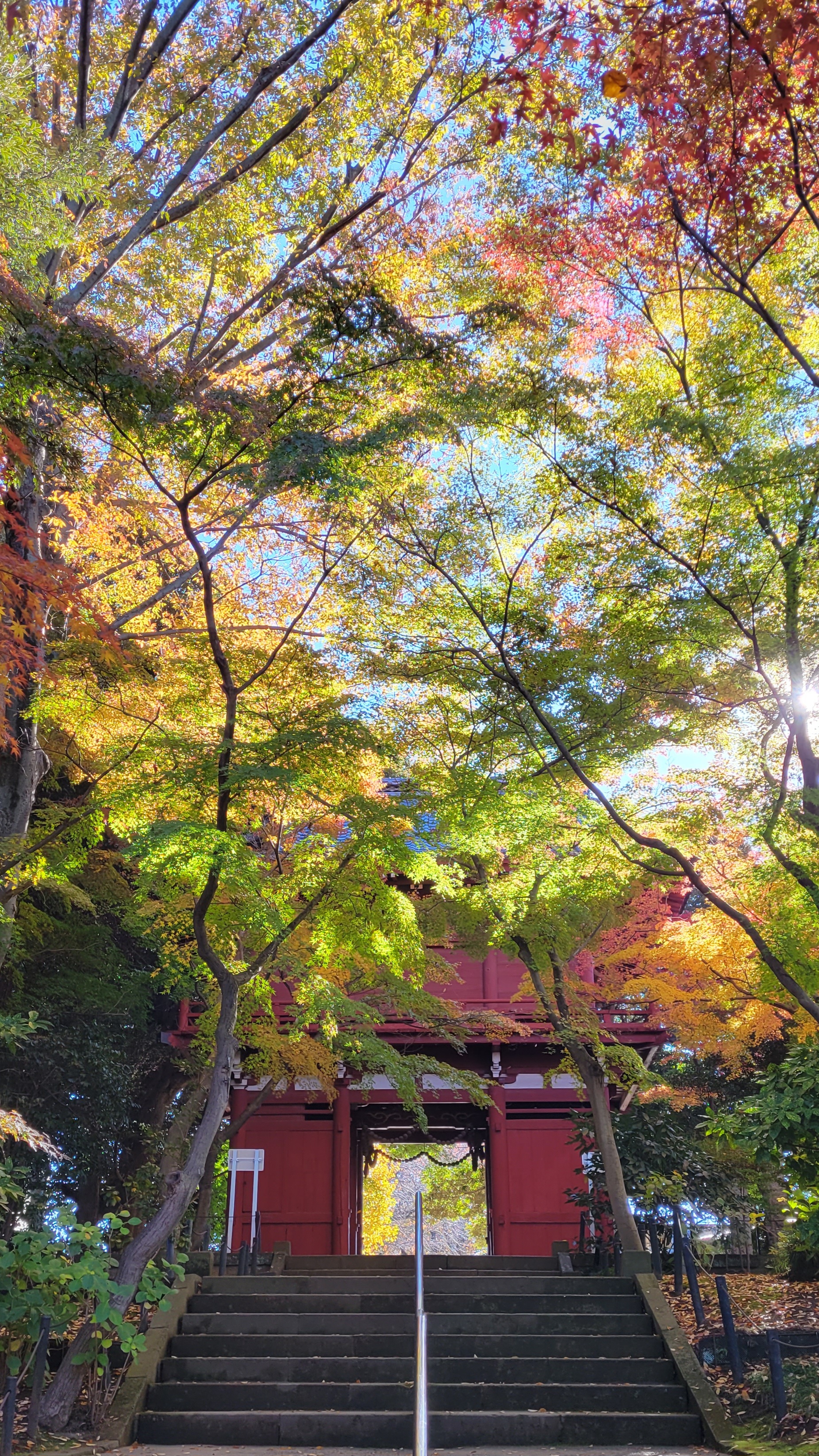 本土寺にて、「紅葉と外門が調和する歴史の風景」と感じた写真です。