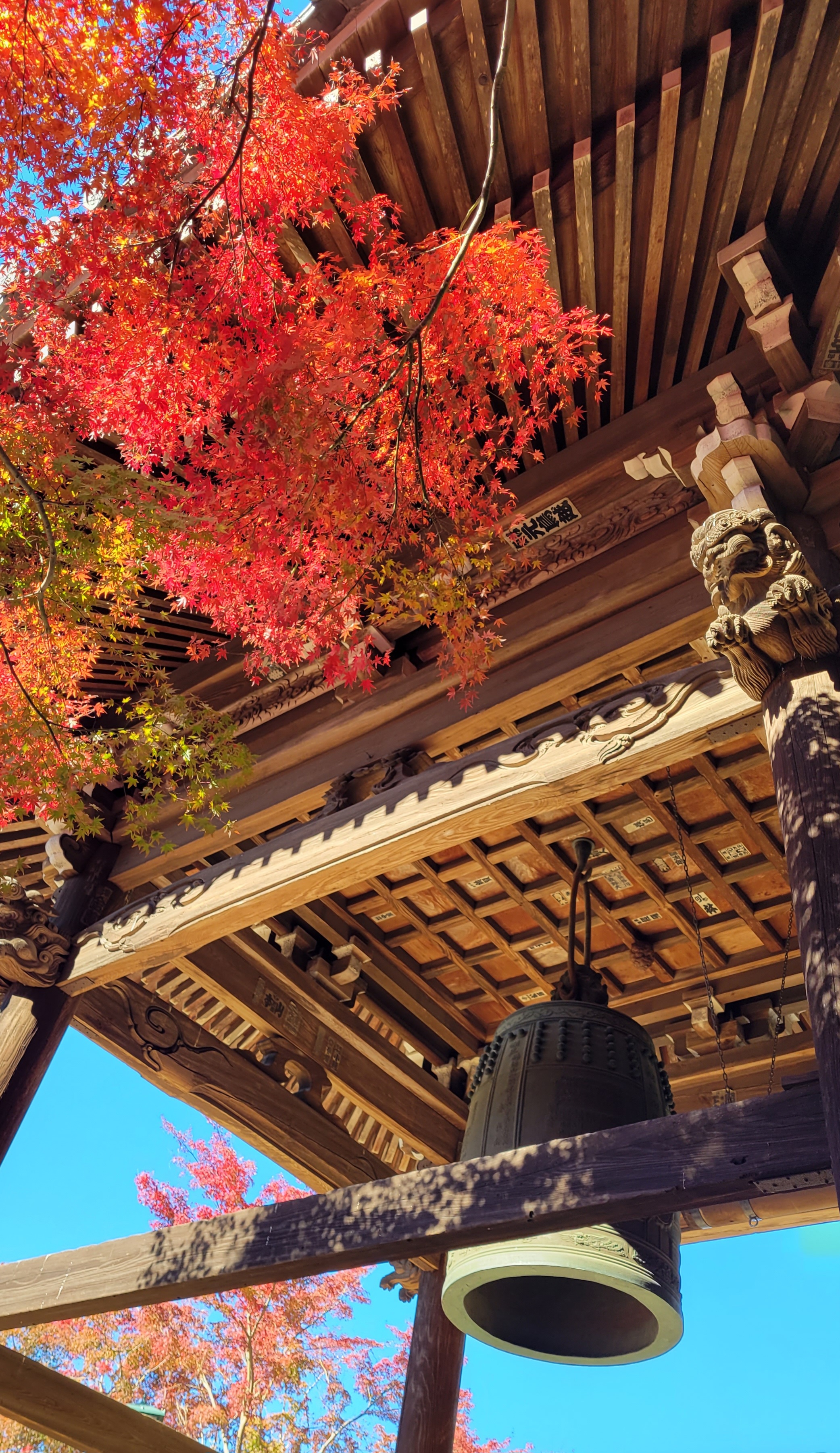 東漸寺にて、「鐘つき堂と紅葉が織りなす荘厳な景色」と感じた写真です。