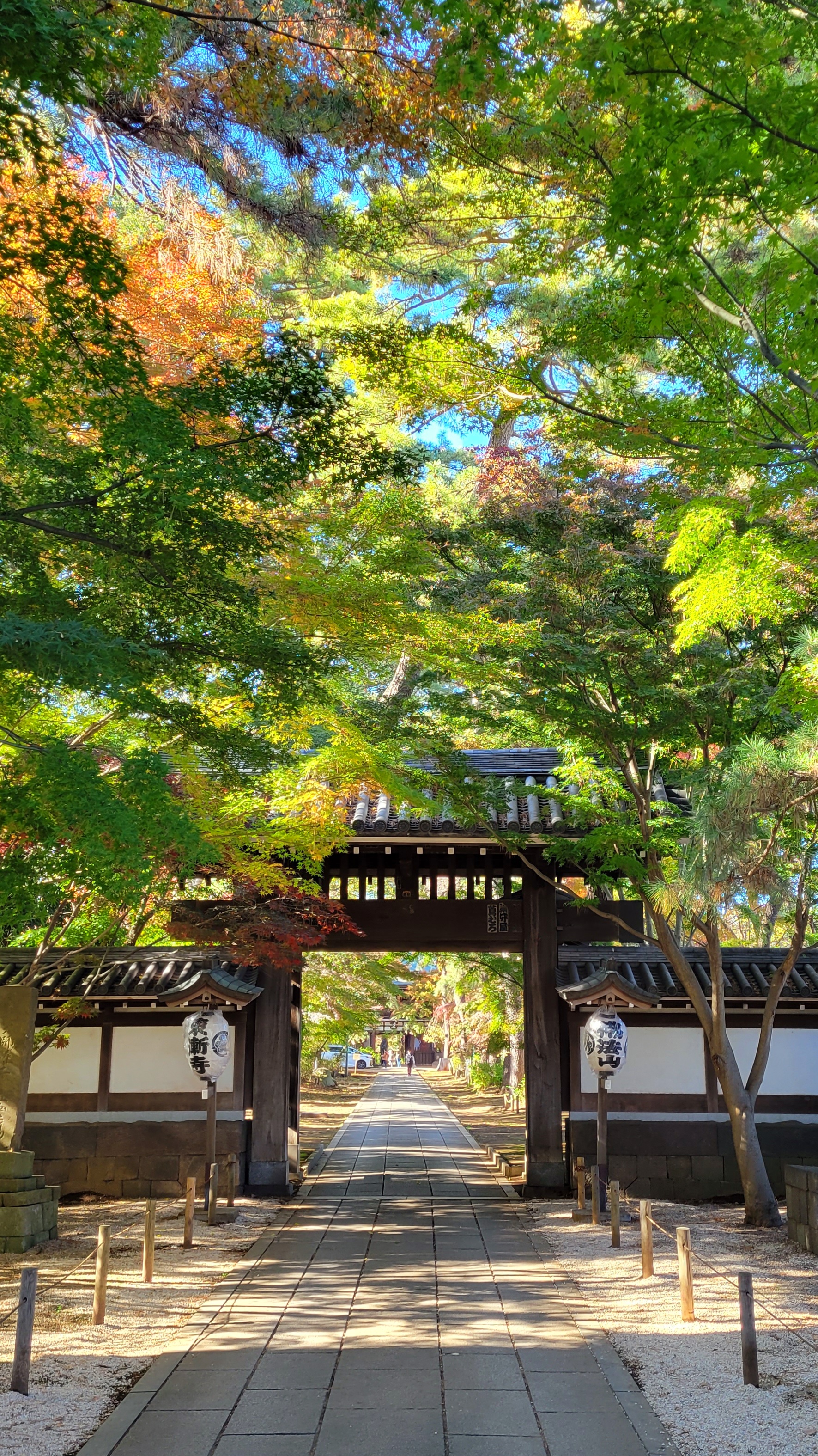 東漸寺にて、「緑もみじが引き立てる大外の門」と感じた写真です。