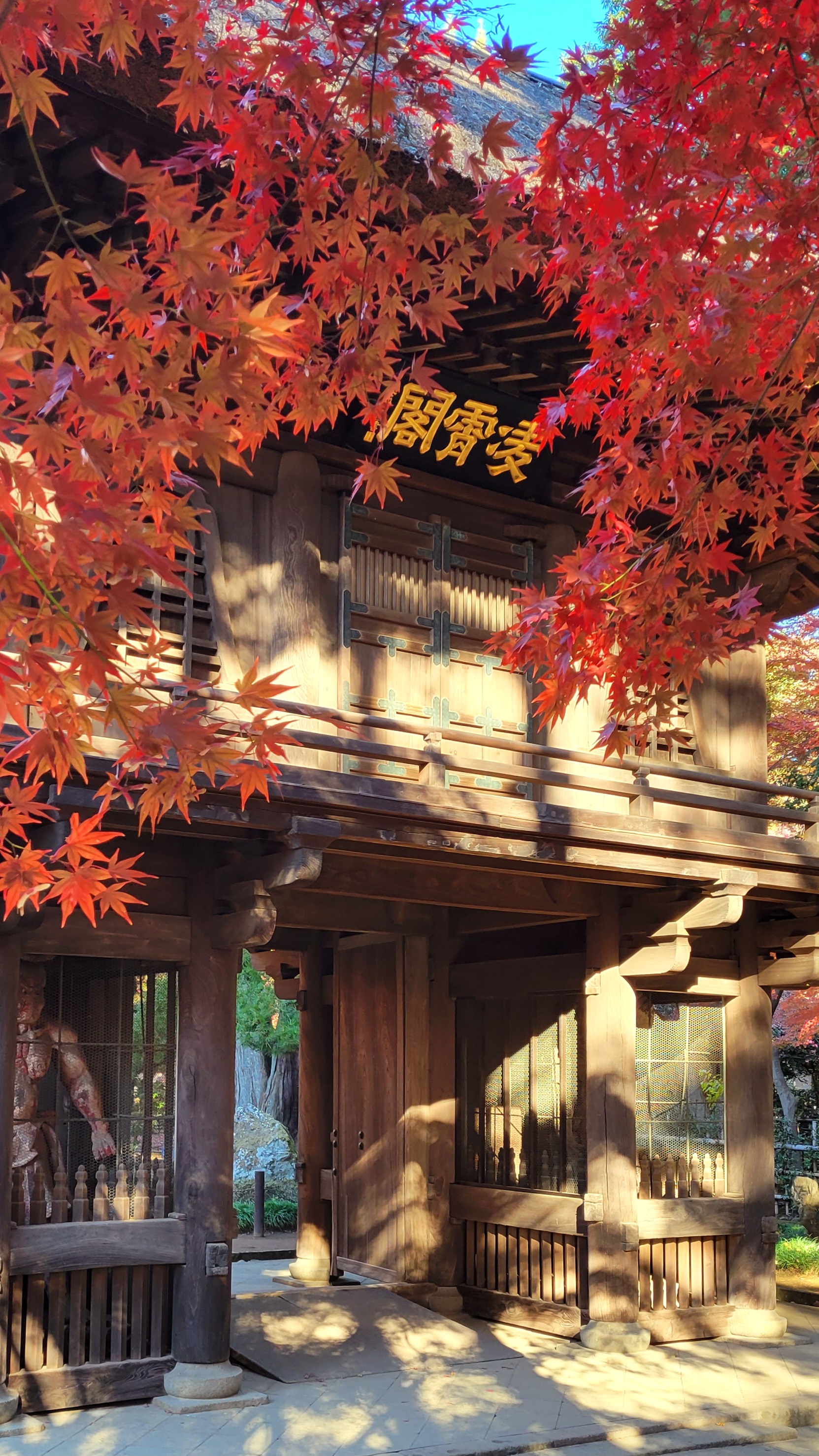 平林寺にて、「平林寺の山門と紅葉が織りなす風景」と感じた写真です。