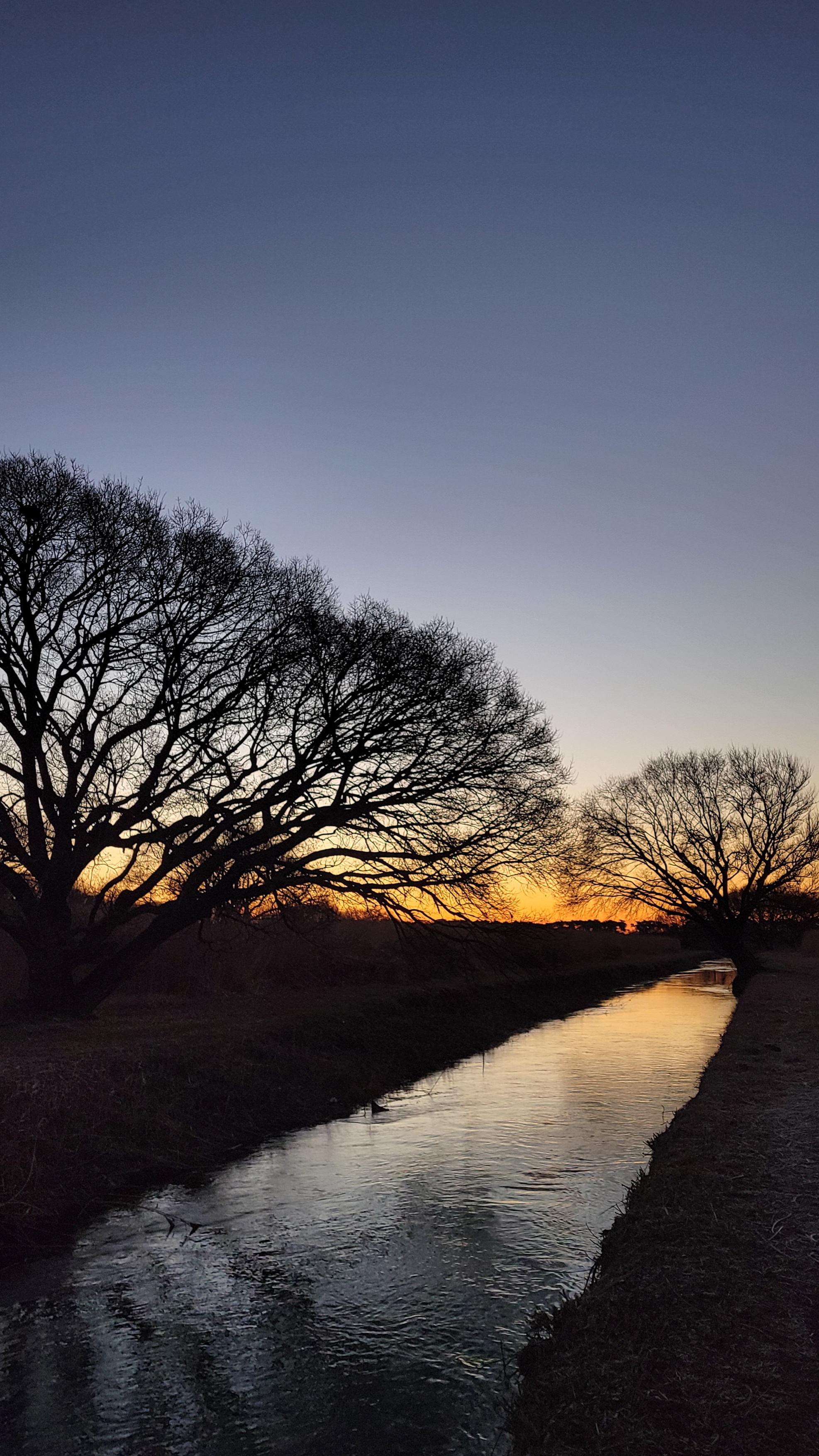 多々良沼公園にて、「川と木々が作る美しい朝の風景」と感じた写真です。