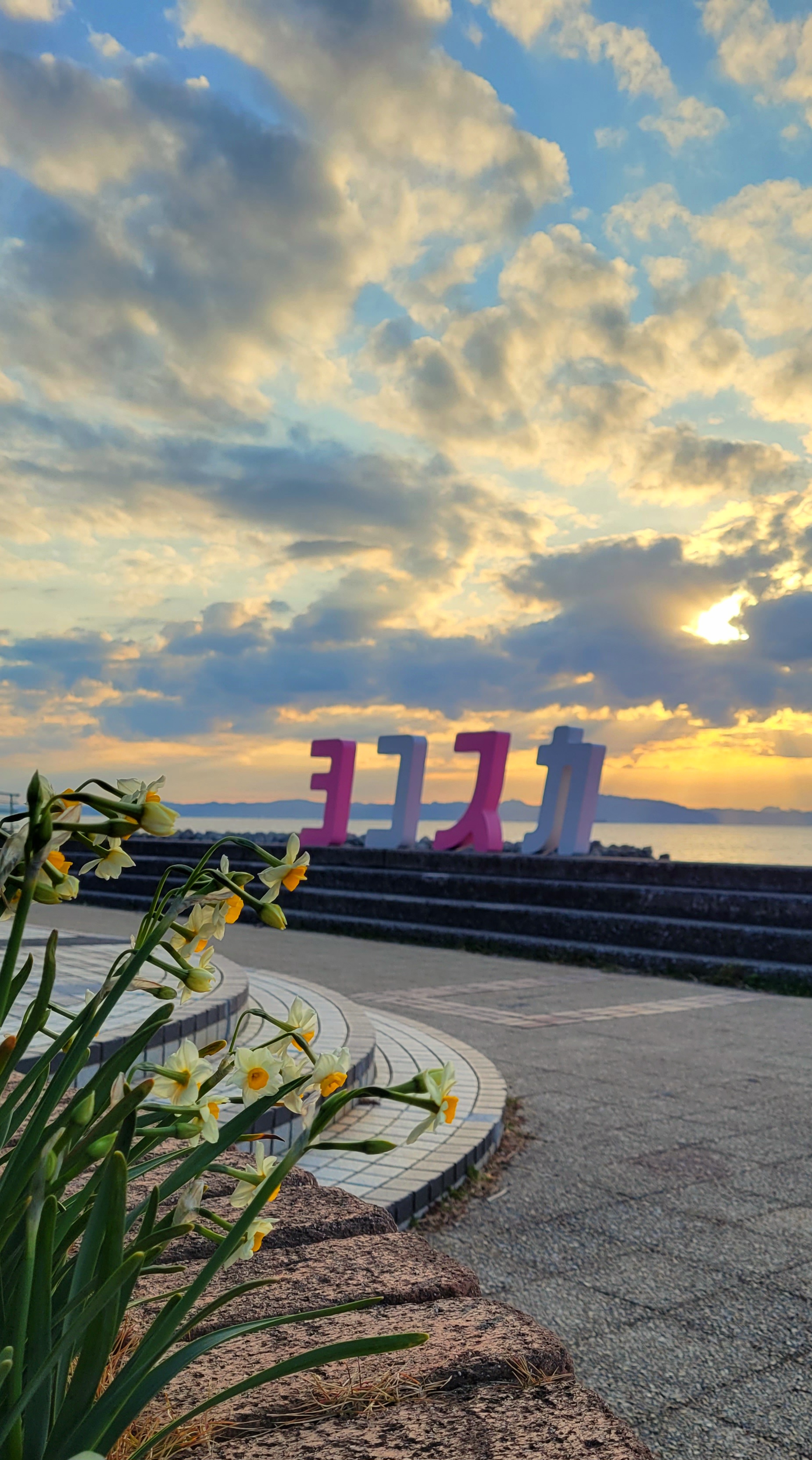 野比海岸にて、「水仙とヨコスカのオブジェクト、空とともに」と感じた写真です。