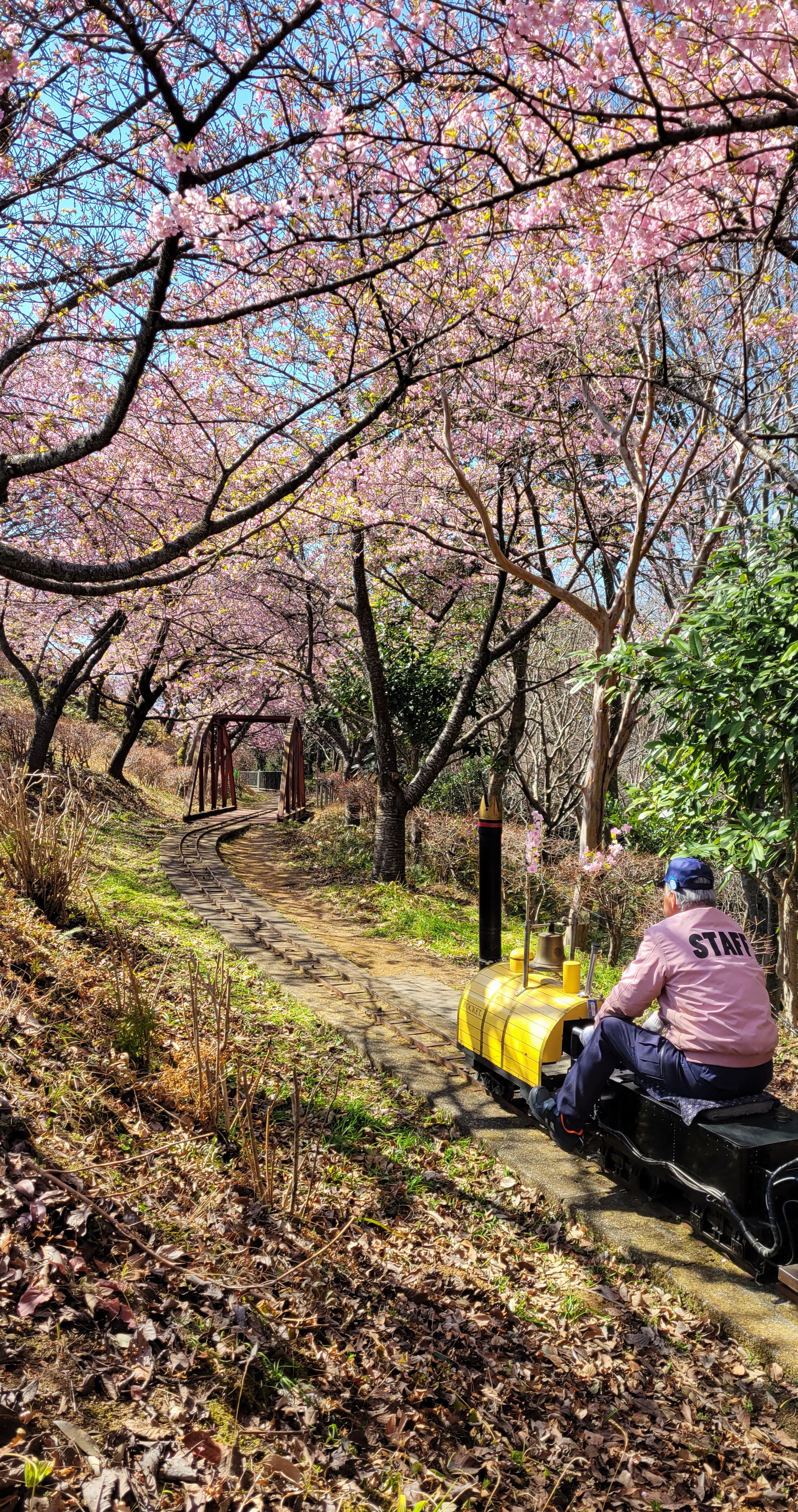 西平畑公園(まつだ桜まつり)にて、「桜のトンネルを走る子供用機関車」と感じた写真です。