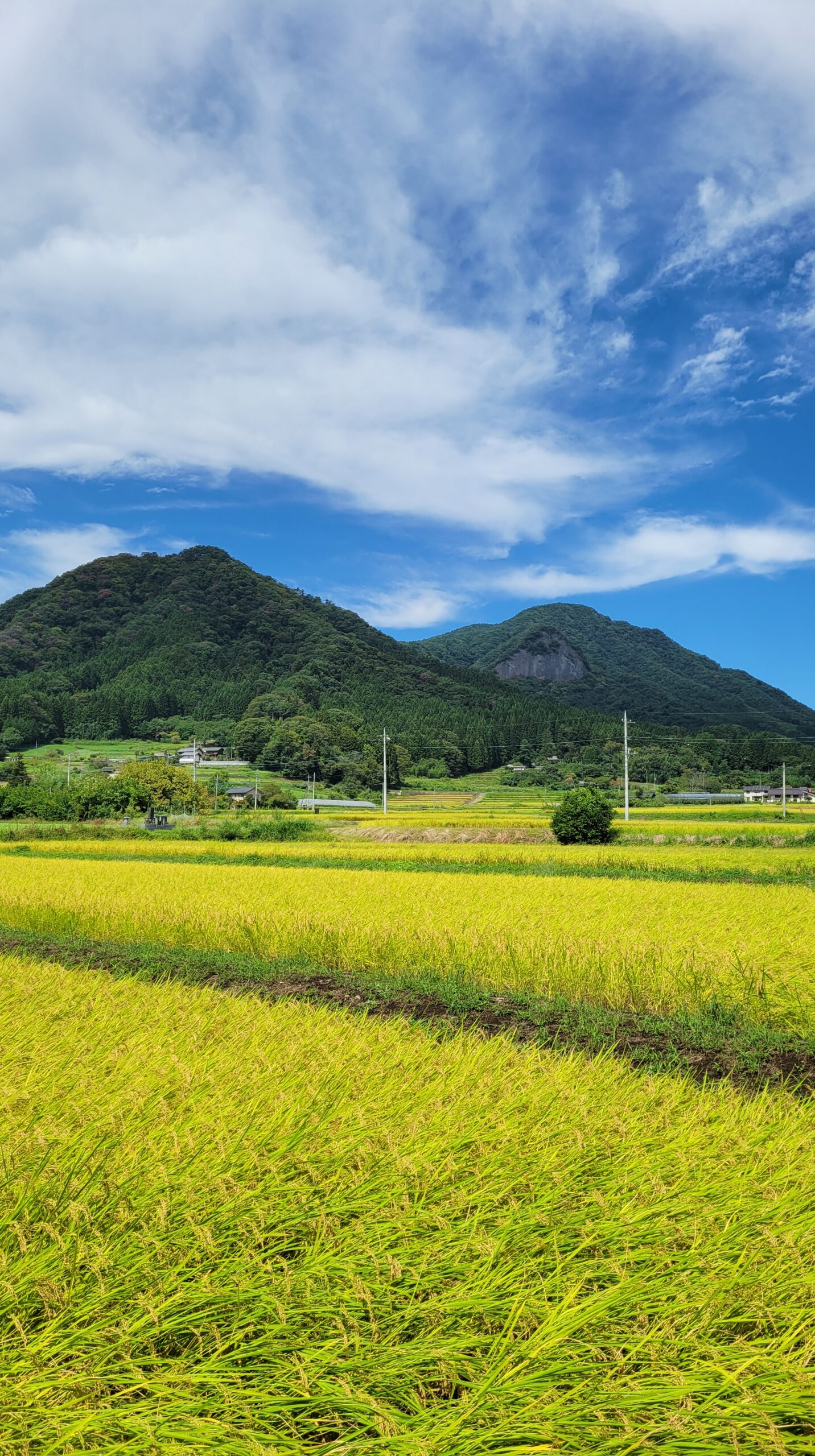 群馬県みなかみ町のたくみの里周辺で撮影した、田んぼと山々の里山風景