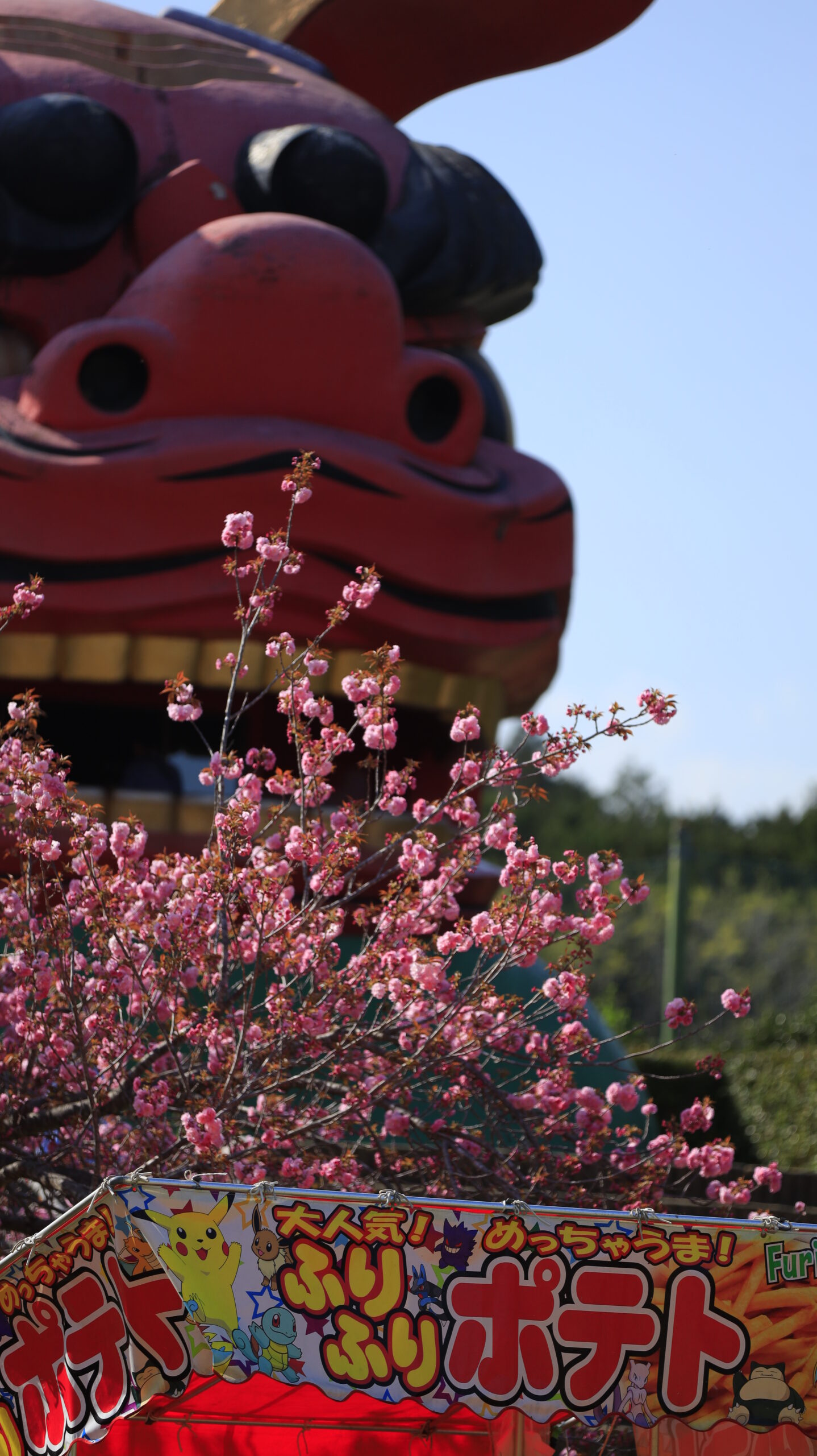 常陸風土記の丘で、獅子頭と屋台と八重桜が並ぶ賑やかな春の風景