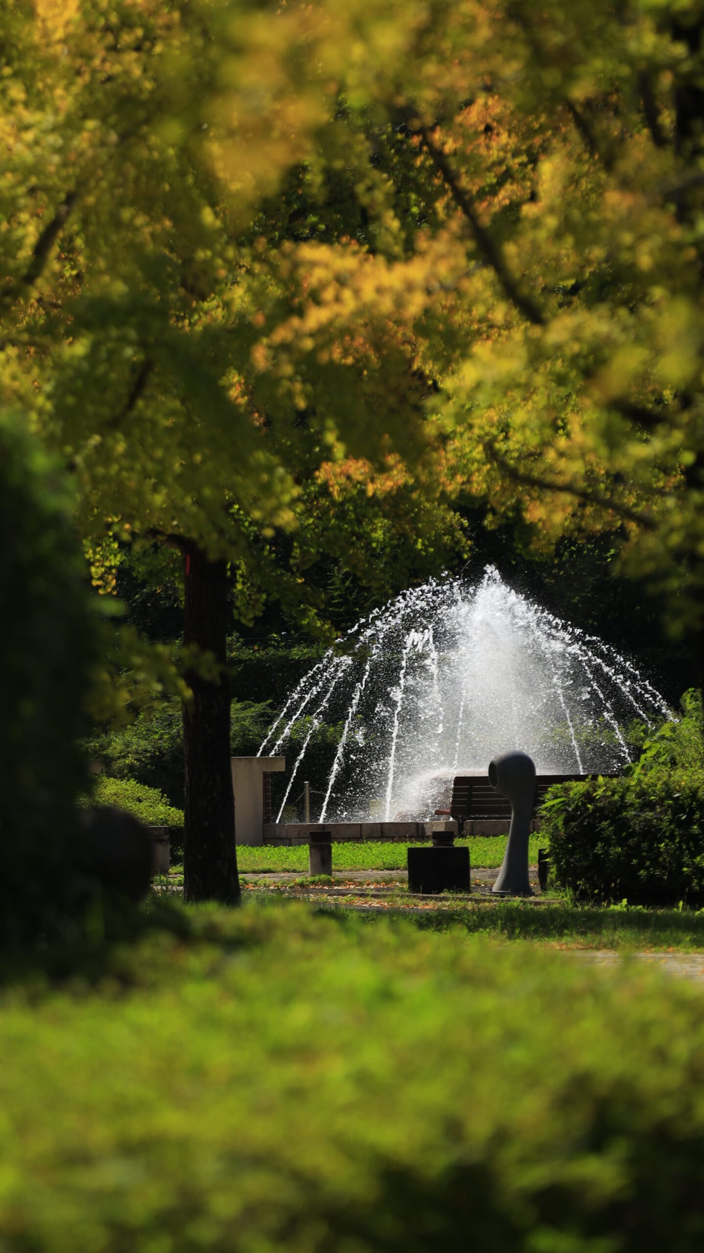秩父ミューズパークで紅葉した木々の間から見える噴水と秋の公園風景