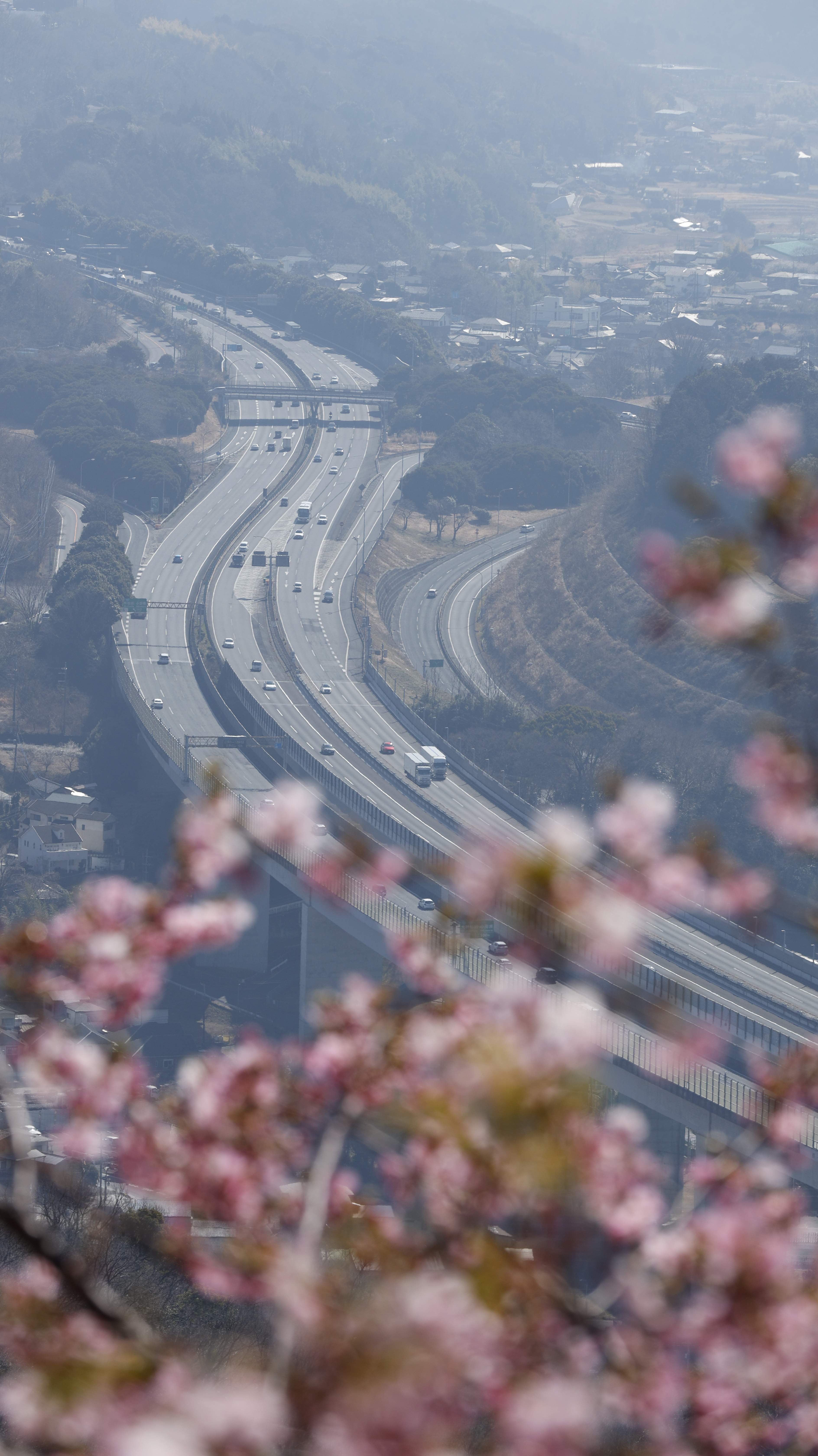 あぐりパーク嵯峨山苑にて、「桜の合間から見た東名高速道路」と感じた写真です。