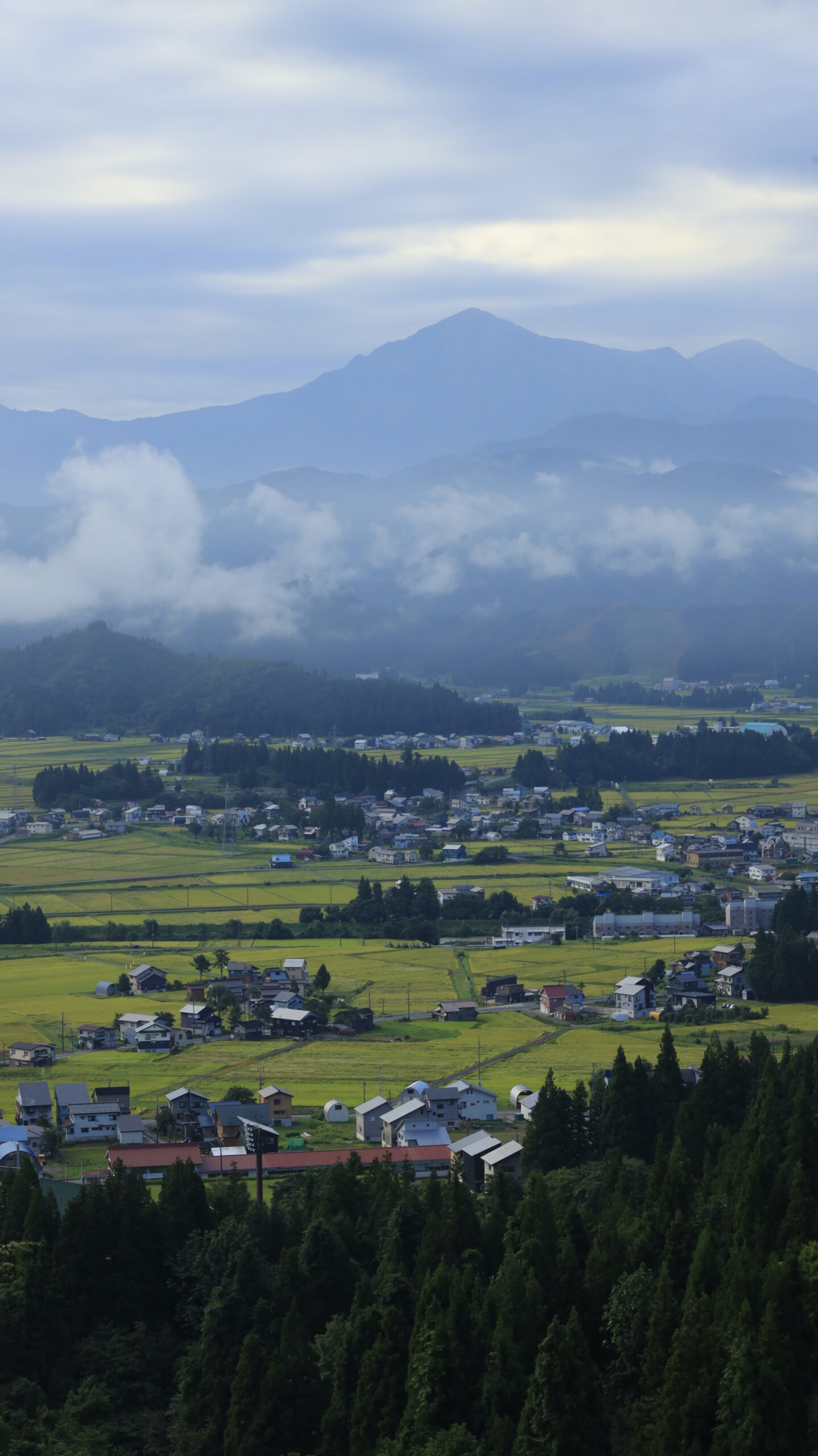 上原コスモス園付近の高台から見下ろす広々とした平野