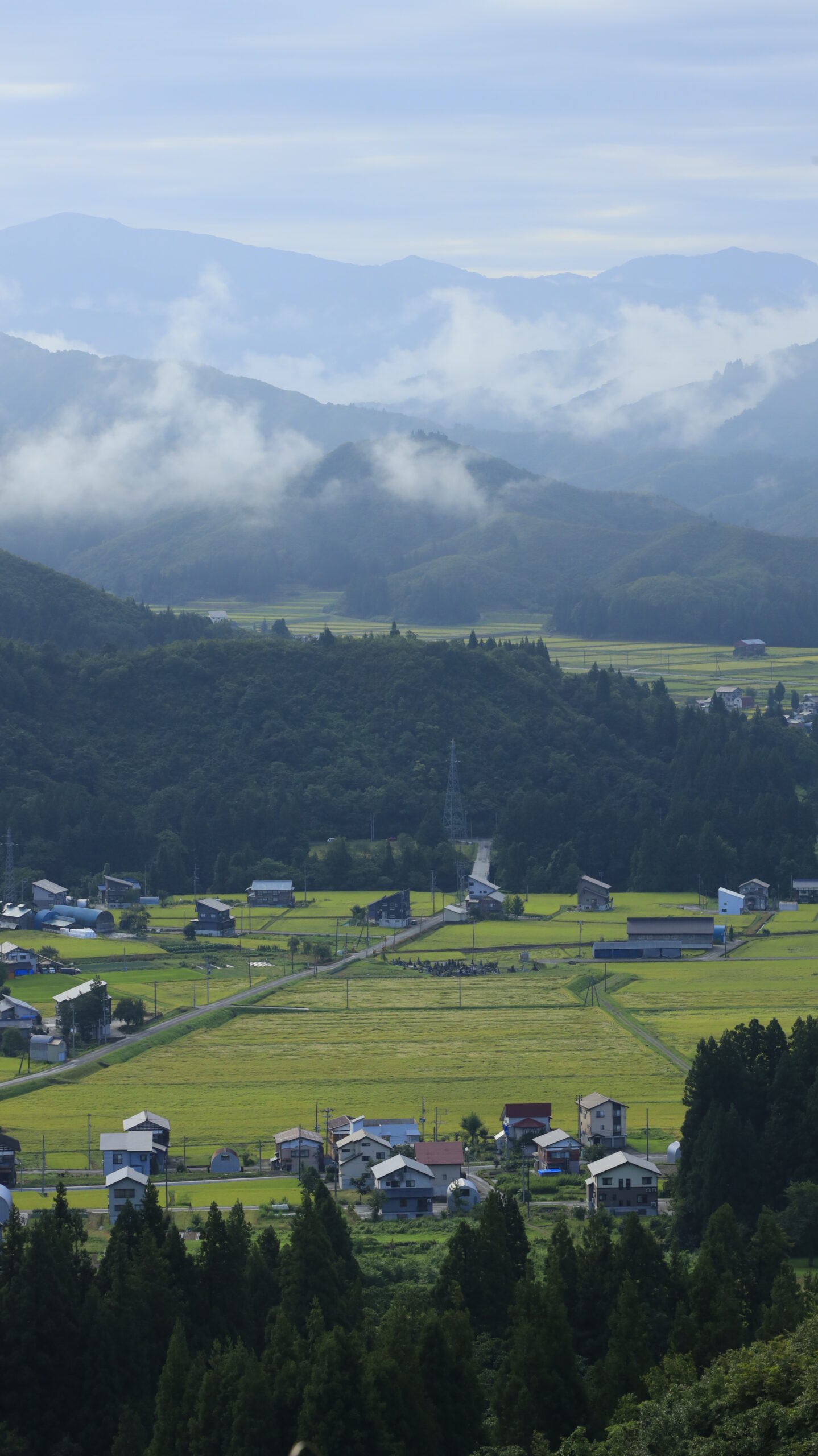 上原コスモス園付近から望む山々と麓に広がる田んぼ