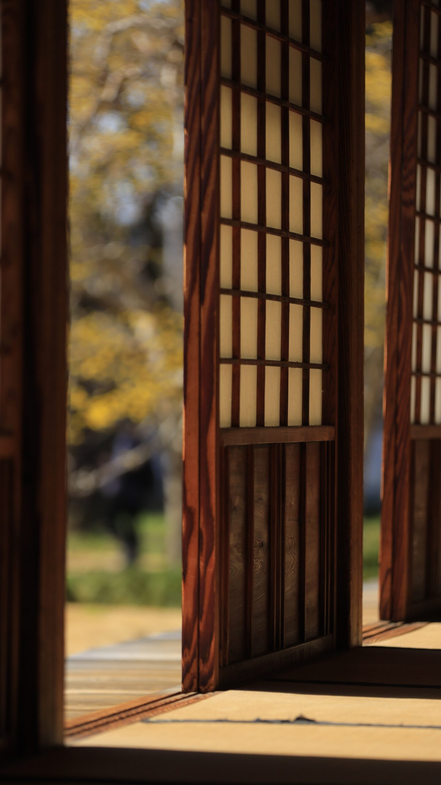 弘道館で建物の隙間にできた光と影を捉えたコントラストが印象的な写真