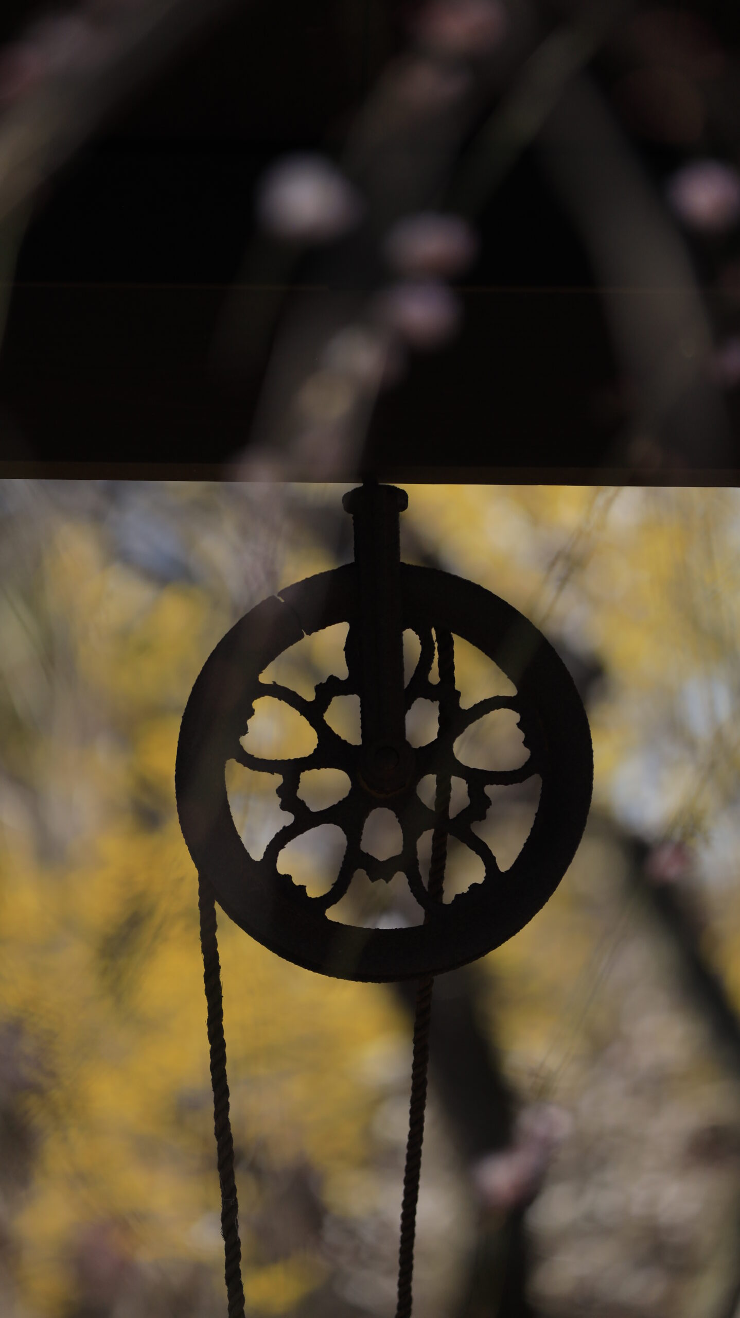 弘道館で建物の一部がシルエットのように見える光と影の美しい景色