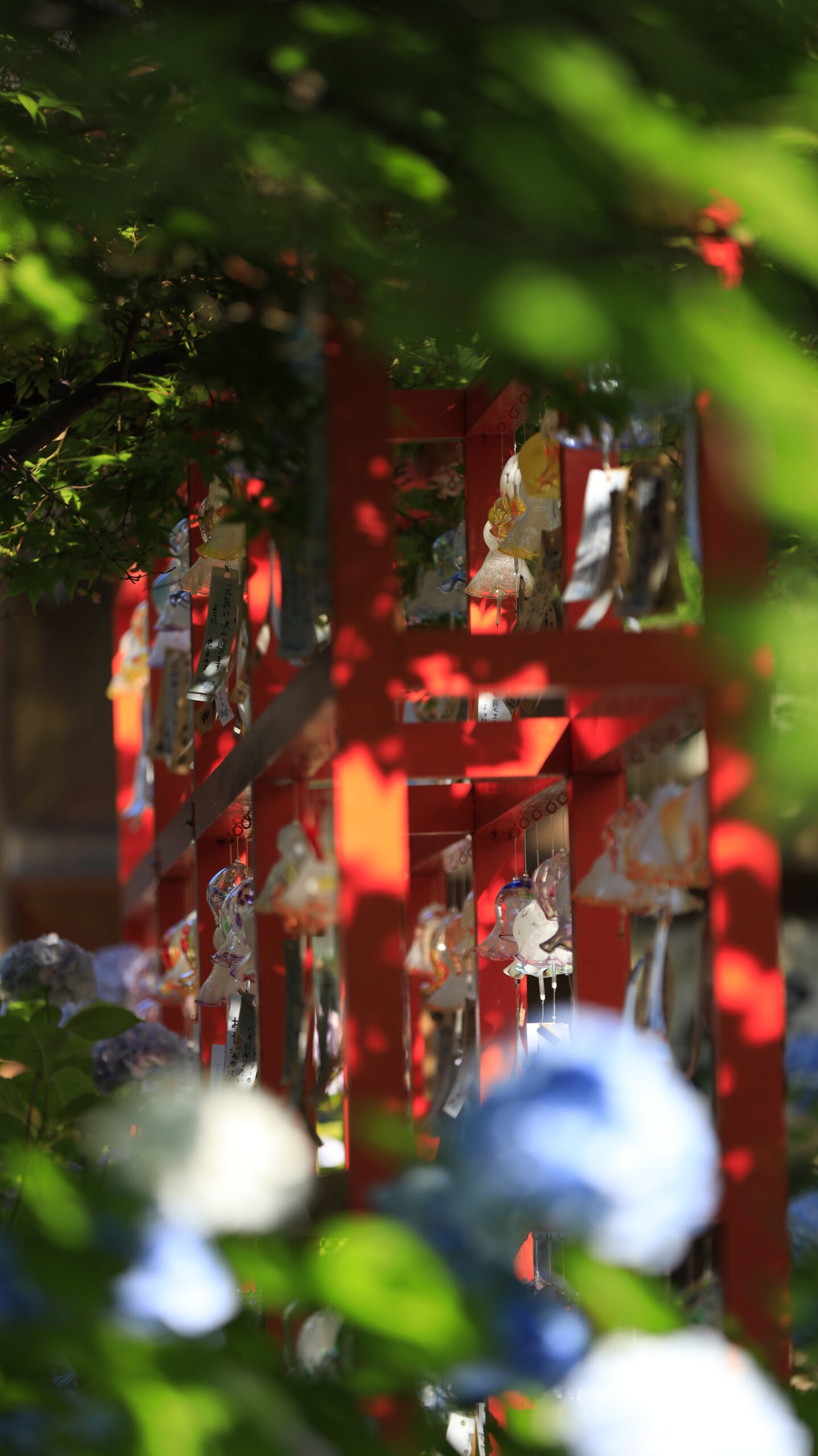 新潟総鎮守 白山神社で光の当たる紫陽花越しに奥の風鈴棚を撮影した写真