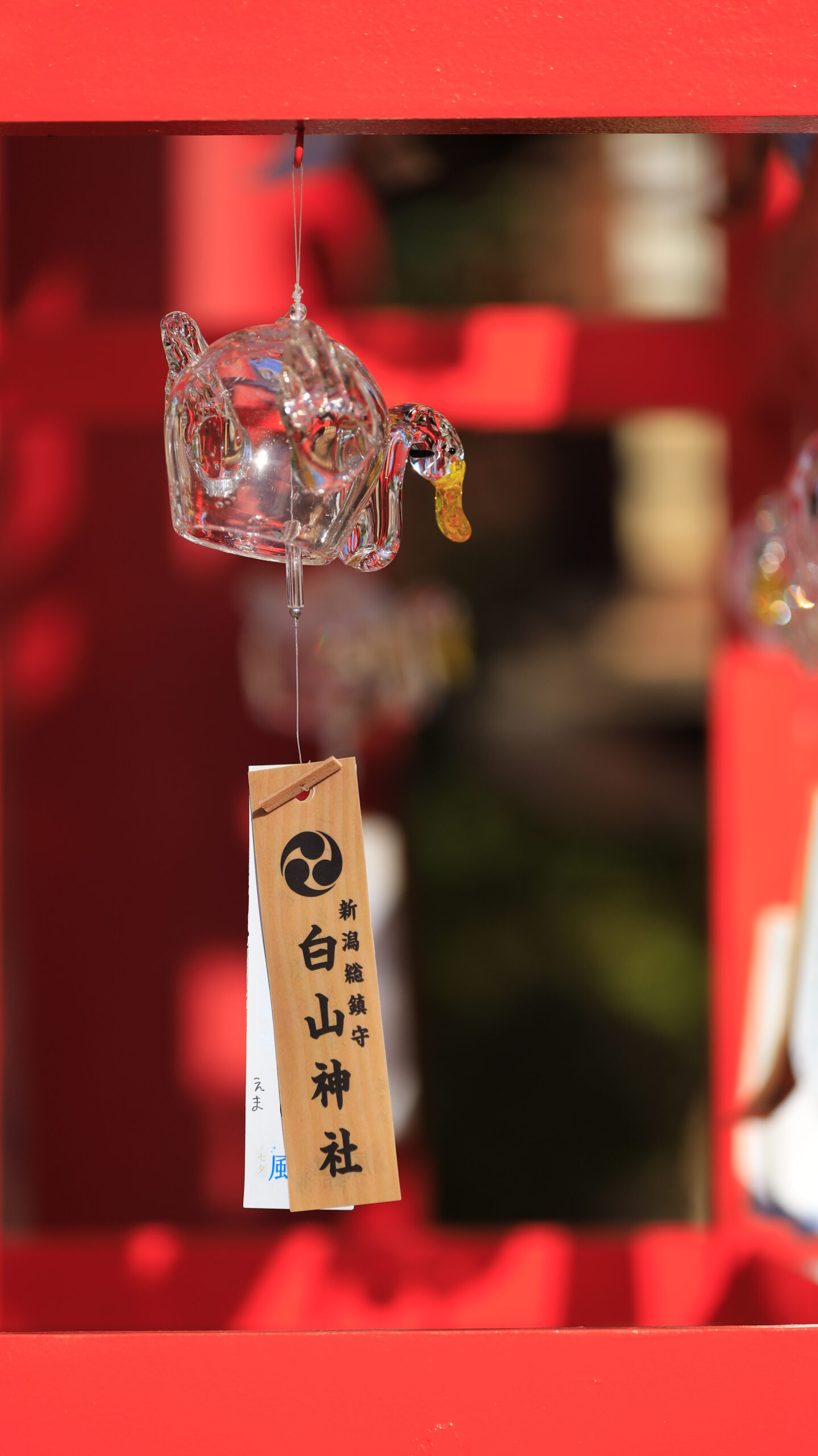 新潟総鎮守 白山神社で透明なガラスの風鈴が綺麗に並ぶ様子