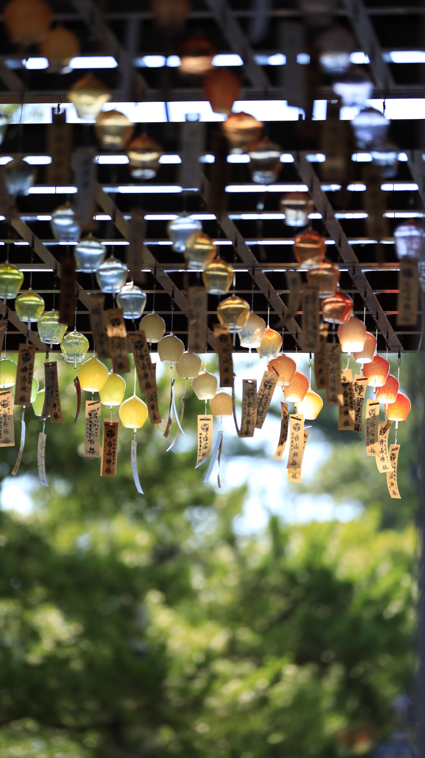 新潟総鎮守 白山神社で撮影したオレンジと黄色のグラデーションの風鈴