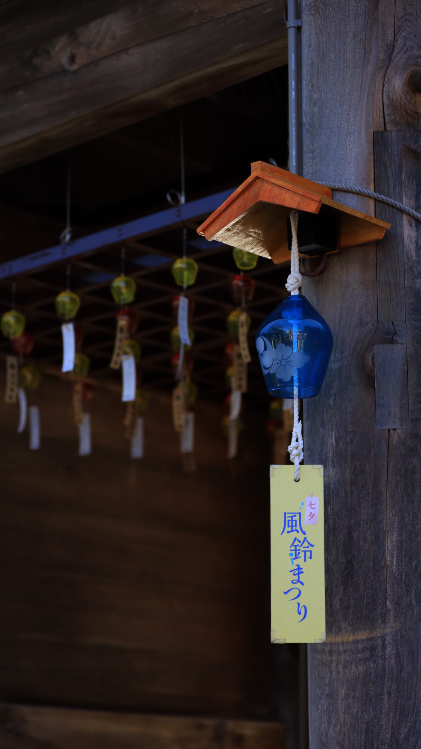 新潟総鎮守 白山神社で青色の大きな風鈴と奥に続く風鈴を撮影した写真
