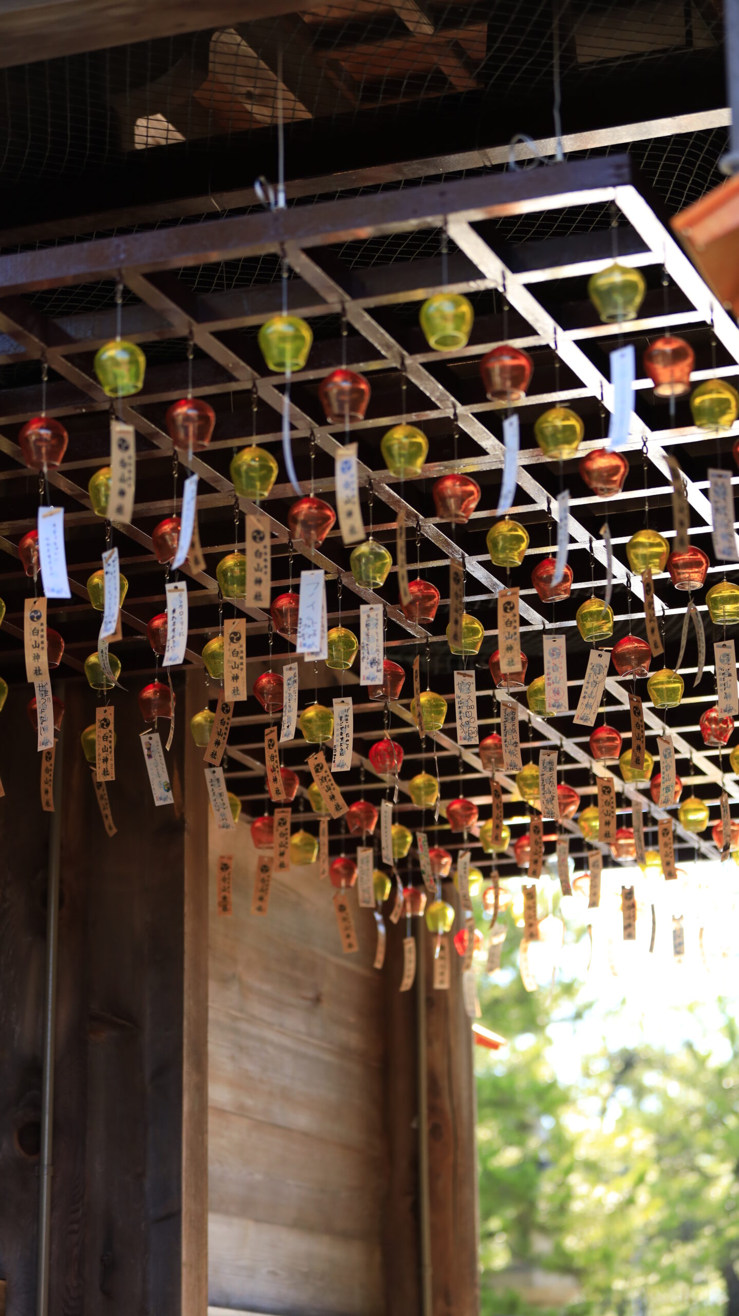 新潟総鎮守 白山神社で下から撮影したオレンジ色の風鈴の回廊