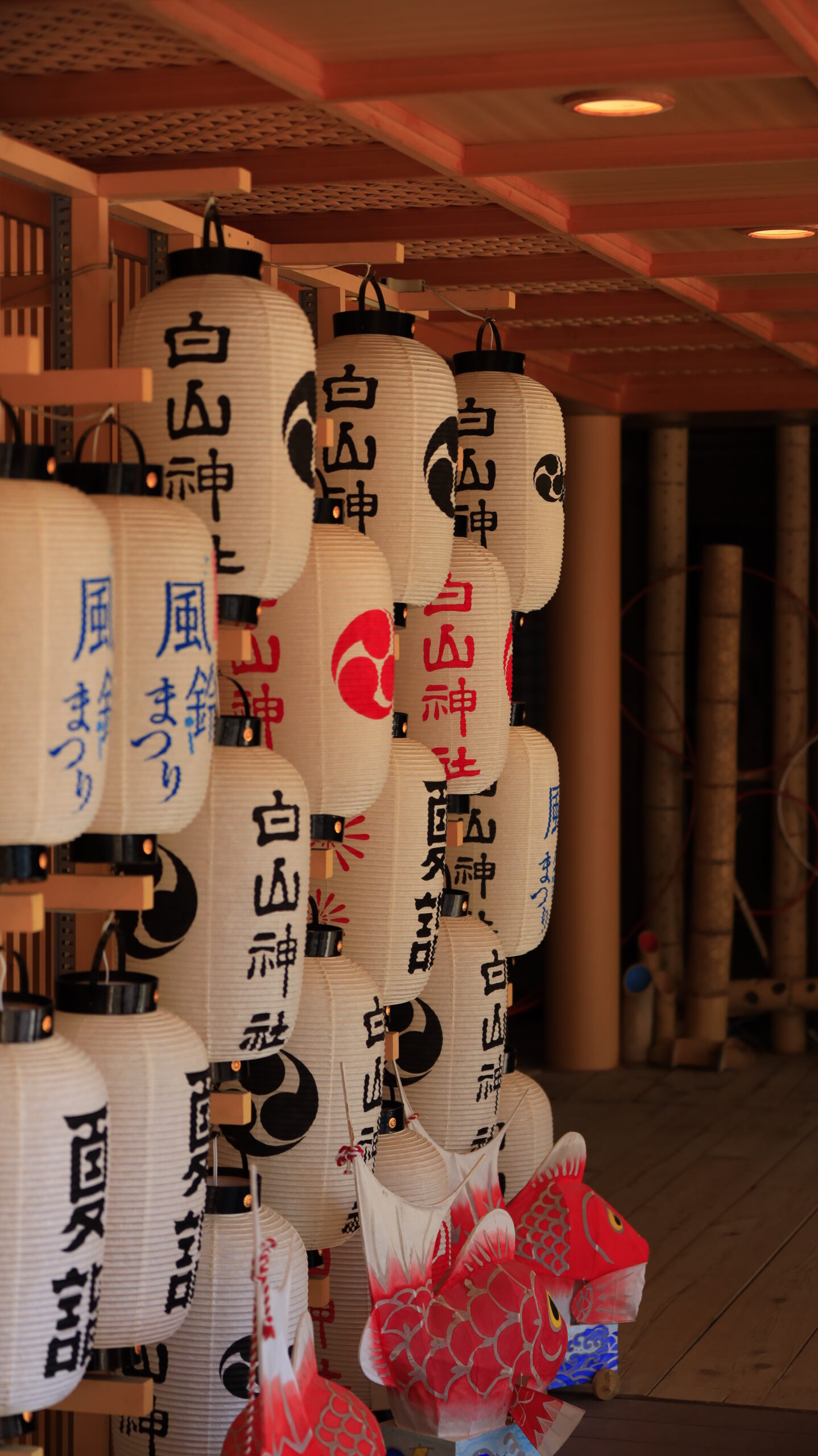 新潟総鎮守 白山神社で壁に飾られた提灯を横側から撮影した写真