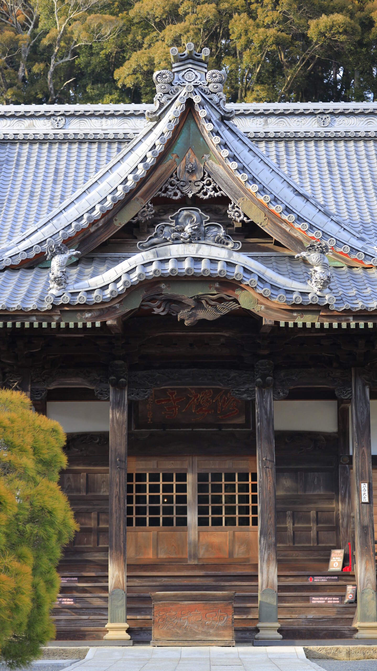 静岡県伊豆市・修禅寺で、本堂を少し離れて撮影し周囲の景観も含めた境内風景