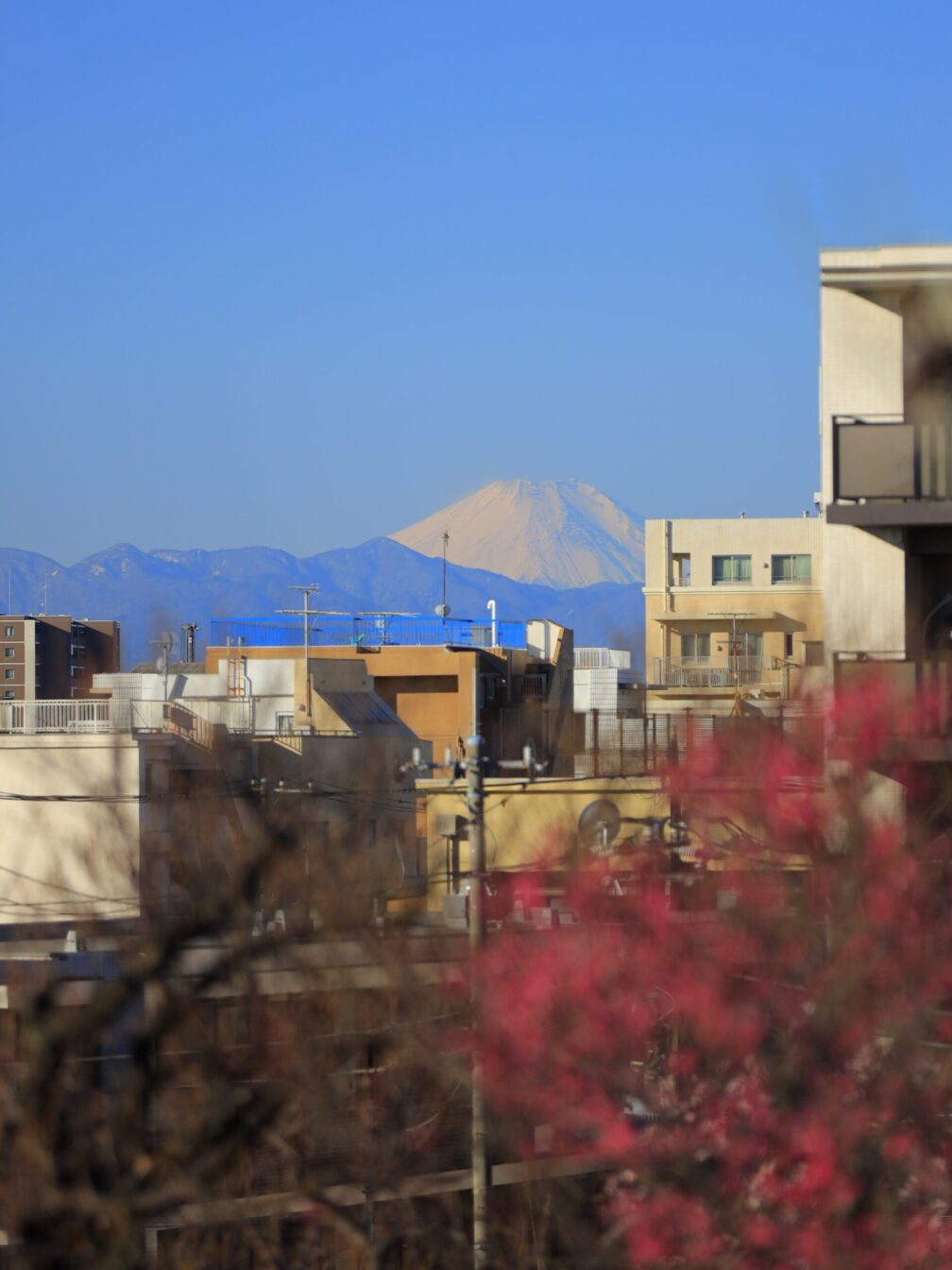 羽根木公園から見える富士山