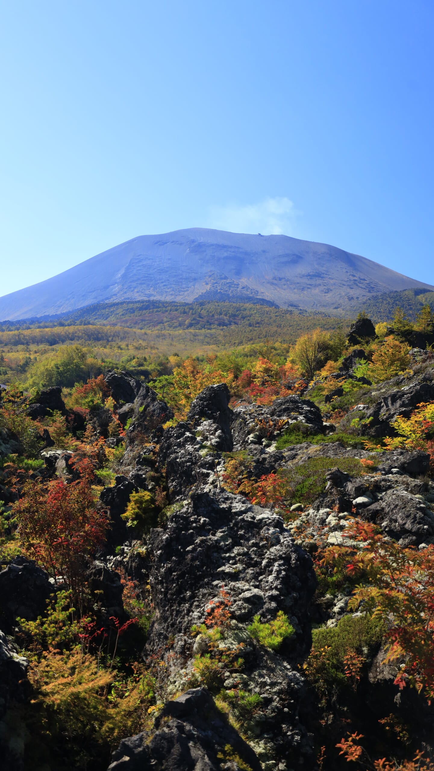 鬼押出し園の特徴的な溶岩と雄大な浅間山、秋色に紅葉した高山植物の風景