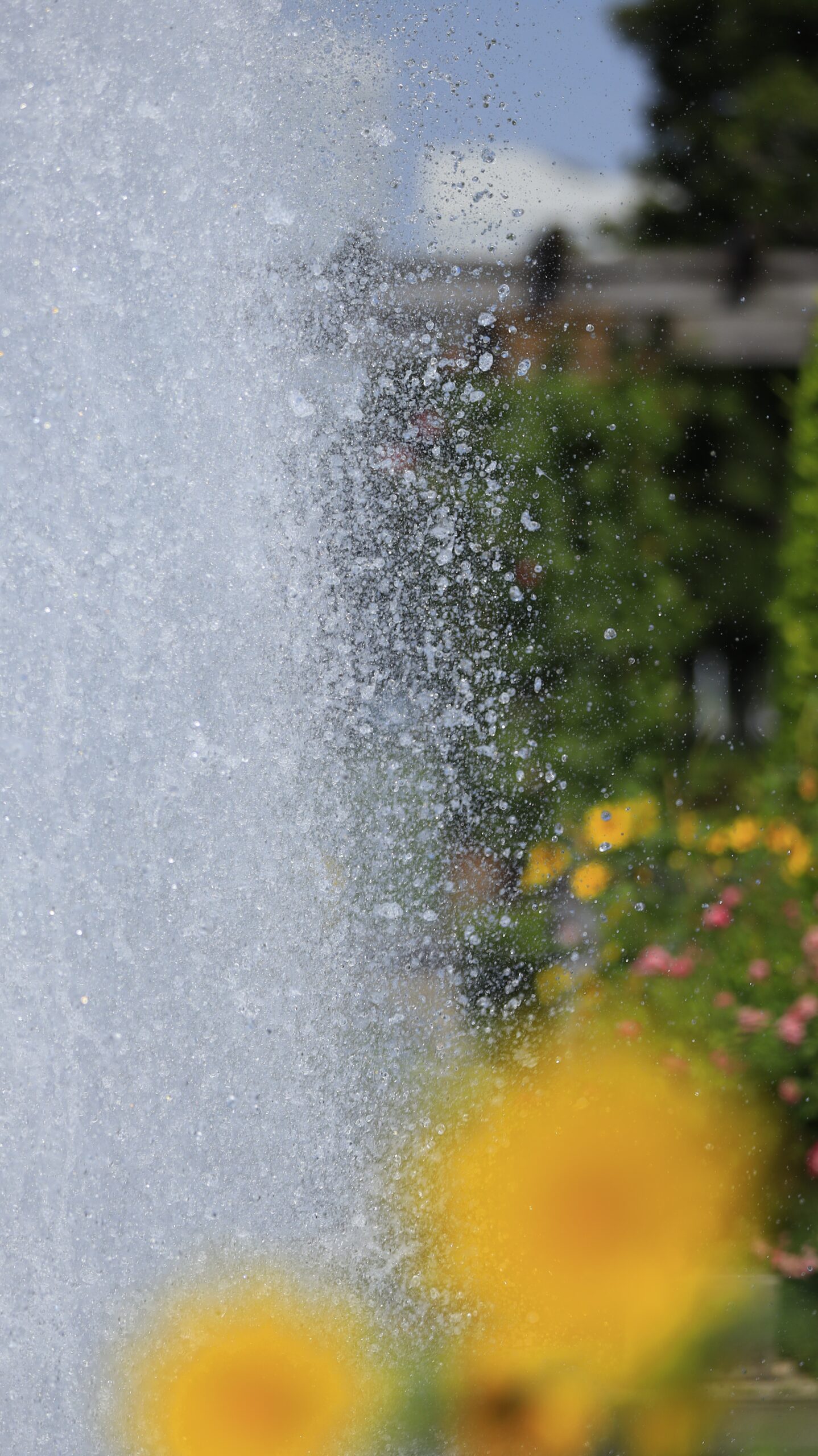 横浜・山下公園の噴水広場で、水しぶきを上げながら流れる噴水