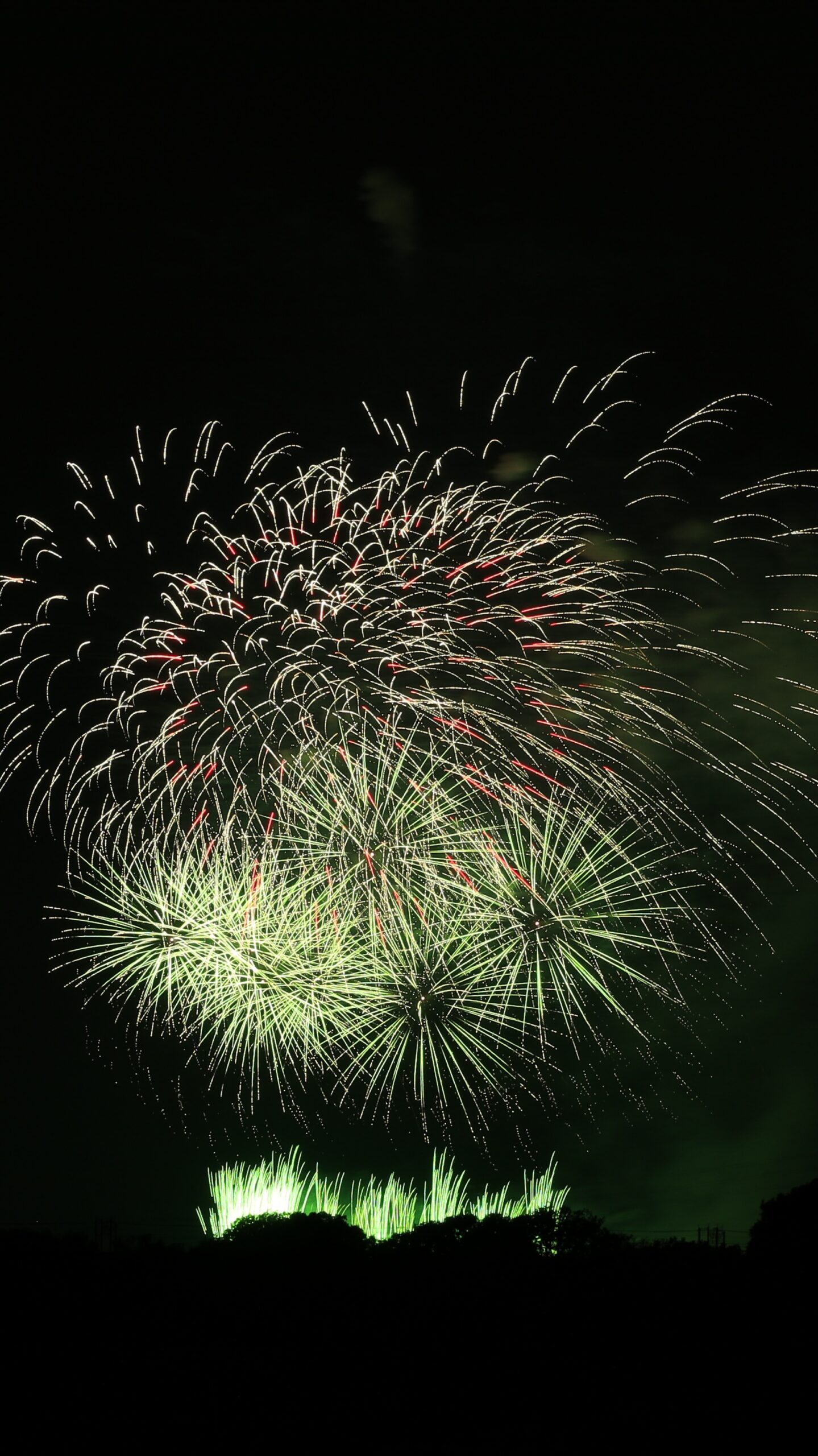 戸田橋花火大会で、複数の緑色の花火が夜空に綺麗に広がる様子を三脚使用・シャッタースピード2 1/3秒で撮影