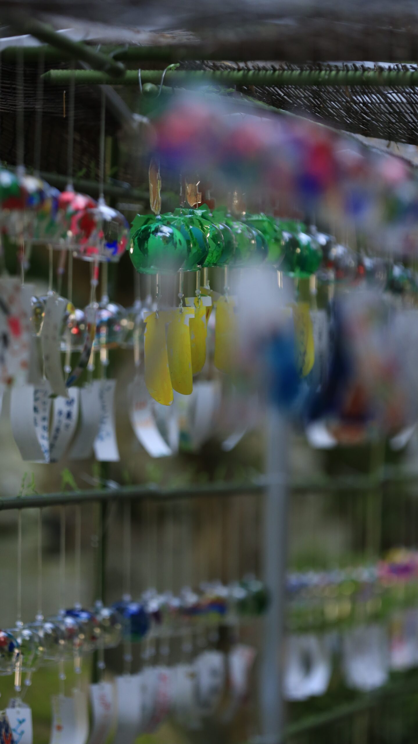 大宝八幡宮の木陰に並ぶ風鈴を奥行きを意識して撮影