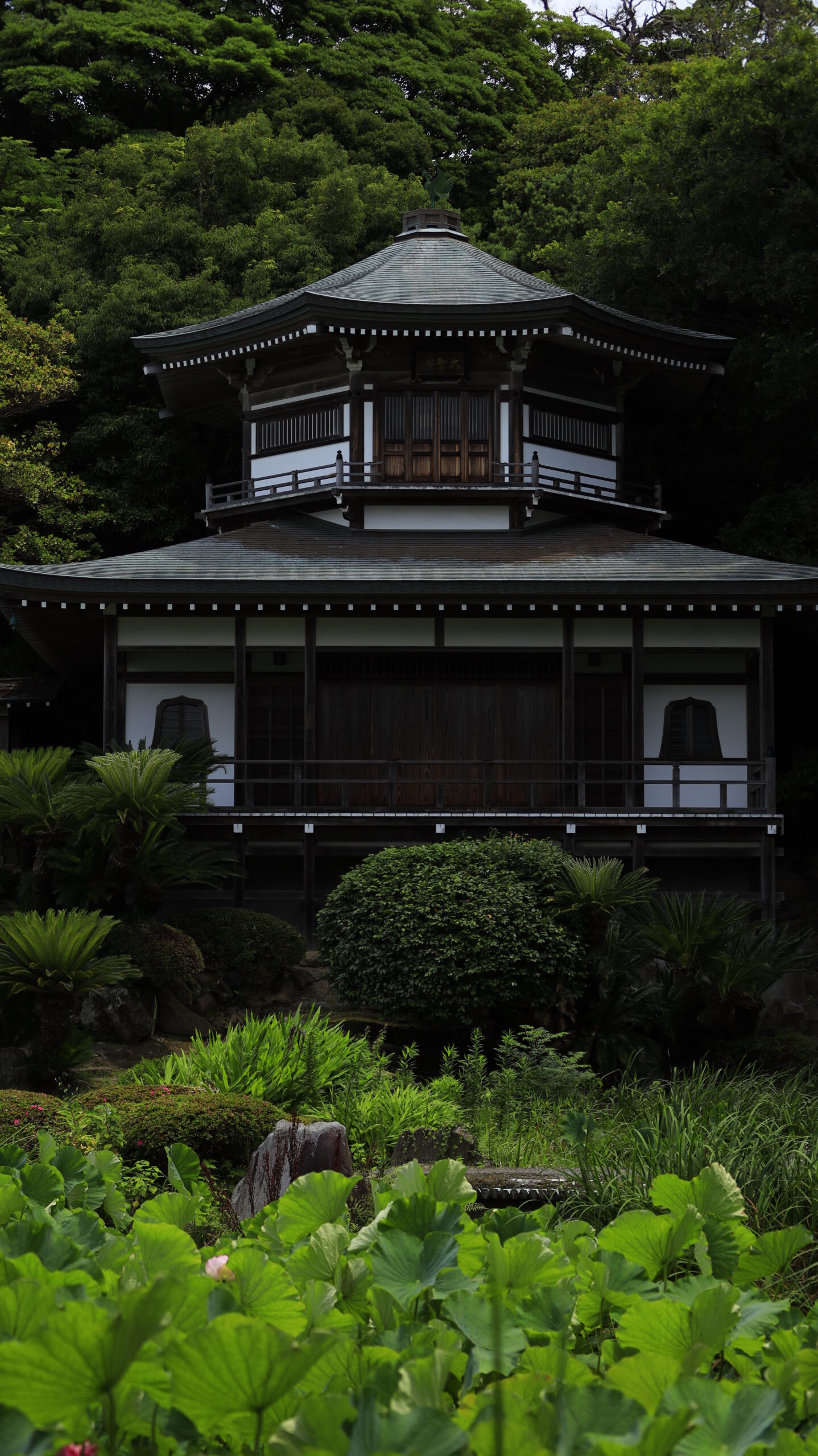 光明寺で歴史と風格を感じさせる厳粛な寺院の建物