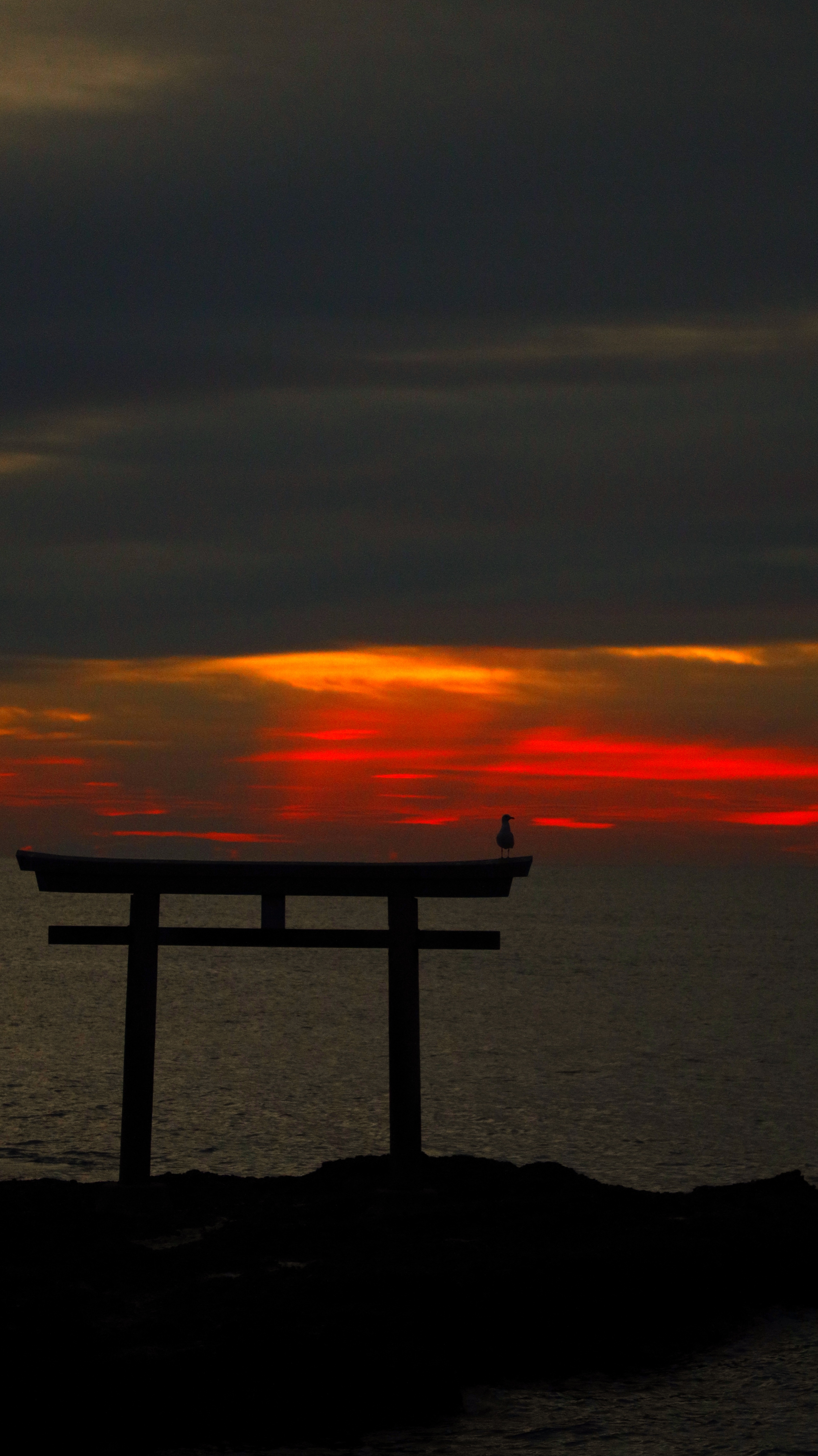 大洗磯前神社にて、「鳥居と鳥が佇む朝の静寂」と感じた写真です。