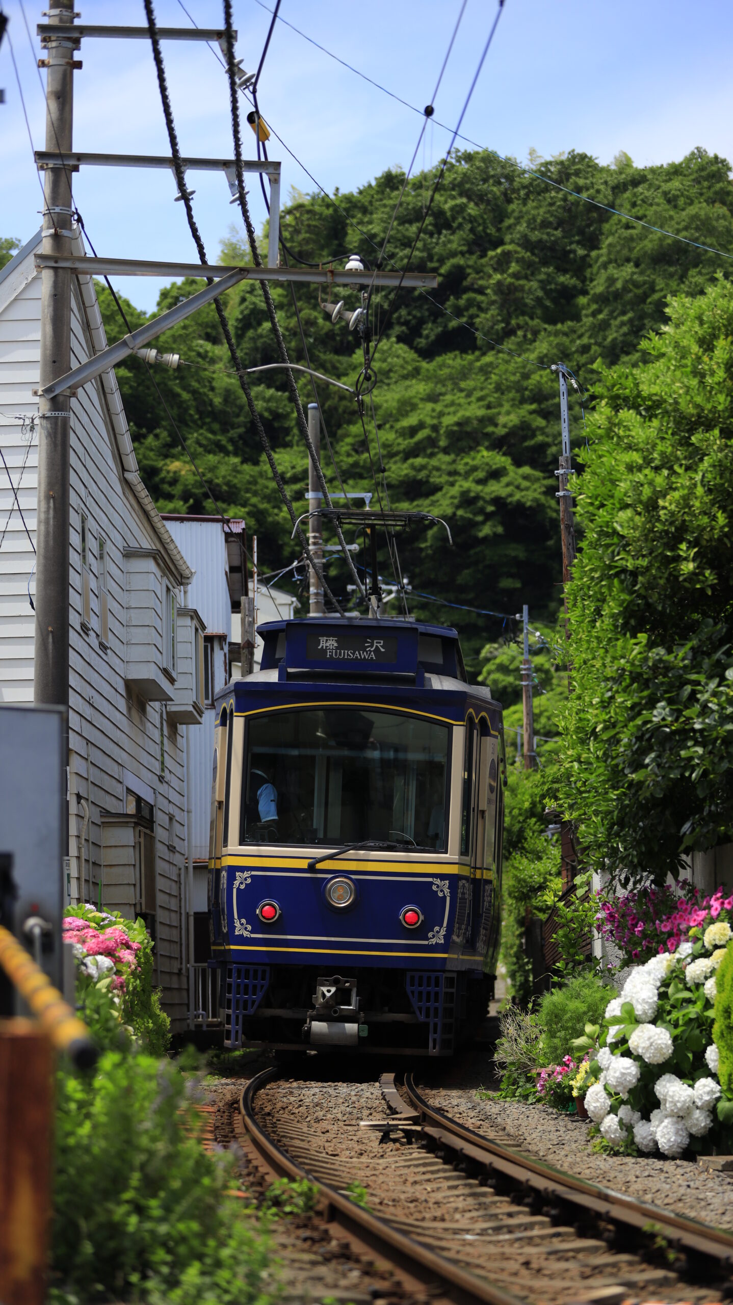 江ノ島電鉄長谷駅周辺の迫力ある電車と紫陽花