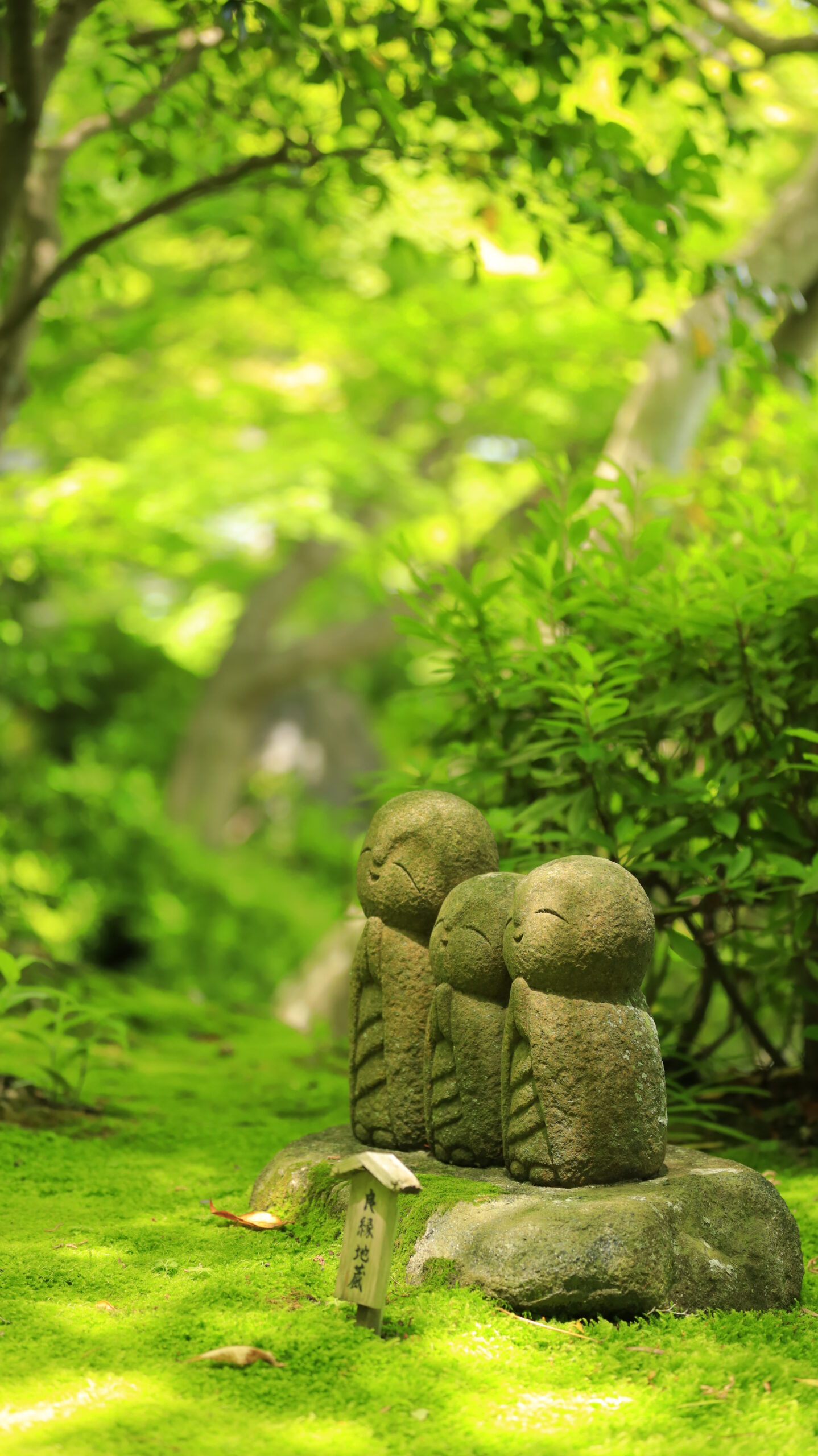 長谷寺の新緑に佇むお地蔵さん
