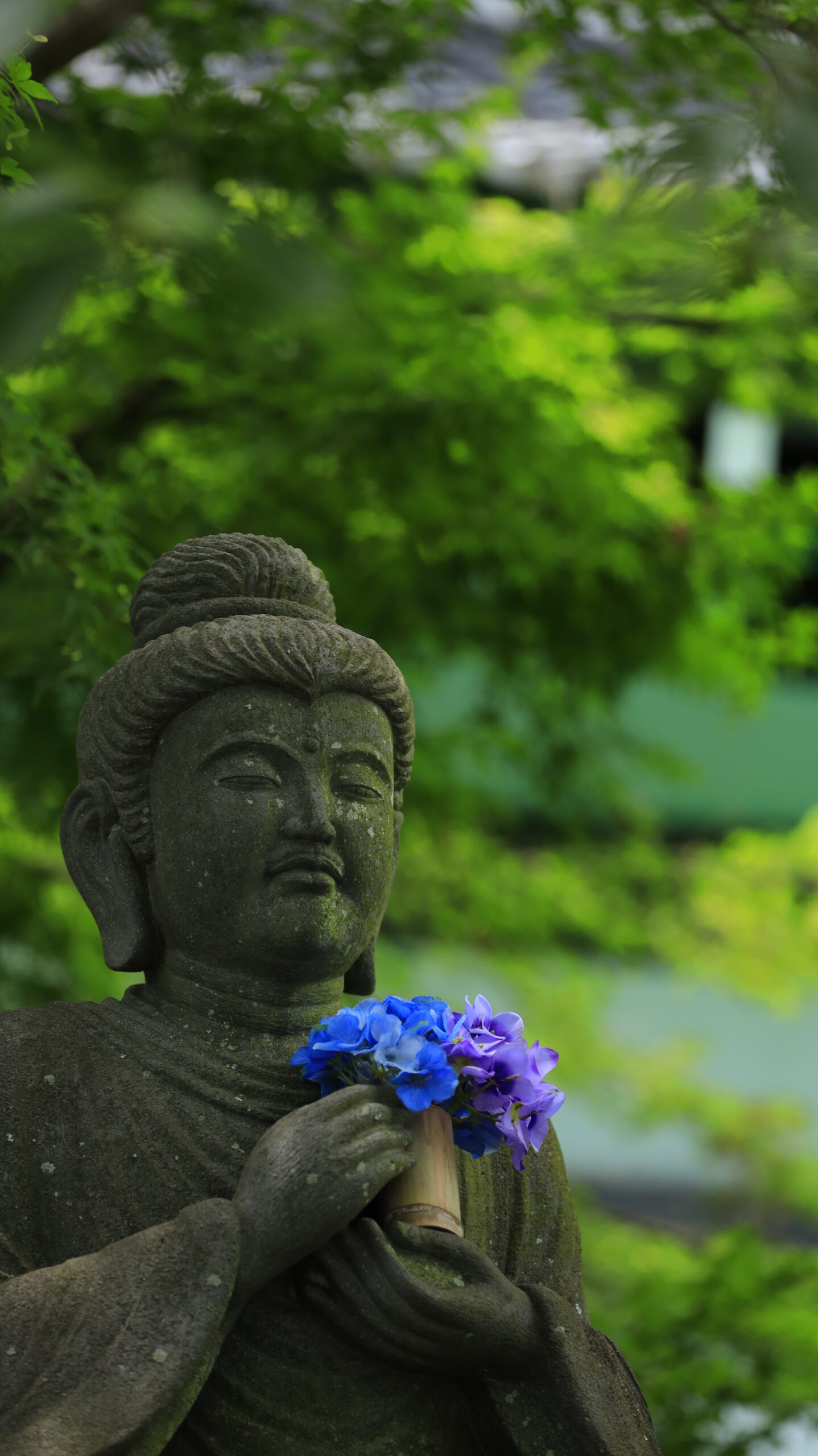 長谷寺の紫と青の紫陽花を持つ石像