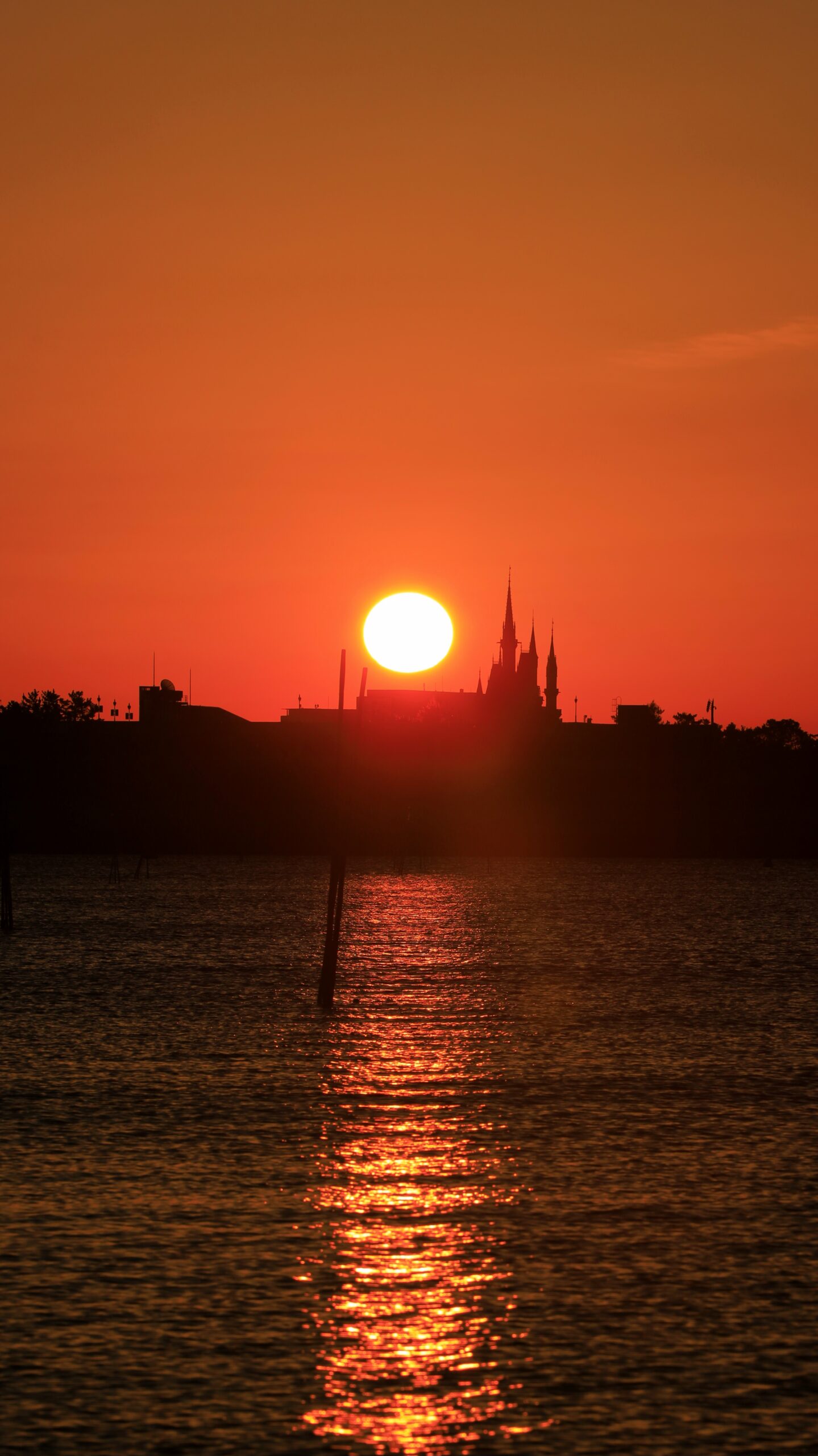 葛西臨海公園で、太陽が地平線から上がり始めた直後にF値を少し上げて光の輪郭を強調しながらシンデレラ城を印象的に撮影した写真です。