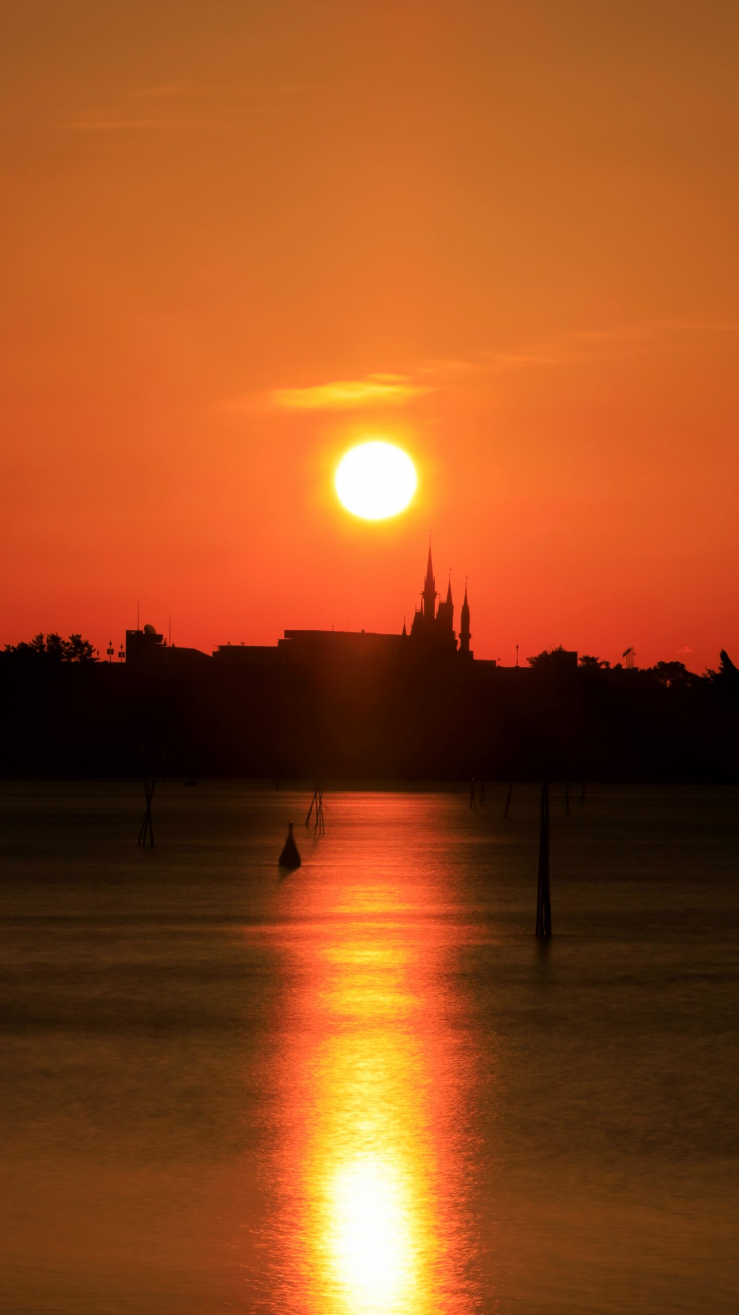 葛西臨海公園で、シンデレラ城と朝日の位置関係を意識し三脚とフィルターを使用してシャッタースピードを遅くし落ち着いた雰囲気で撮影した写真です。