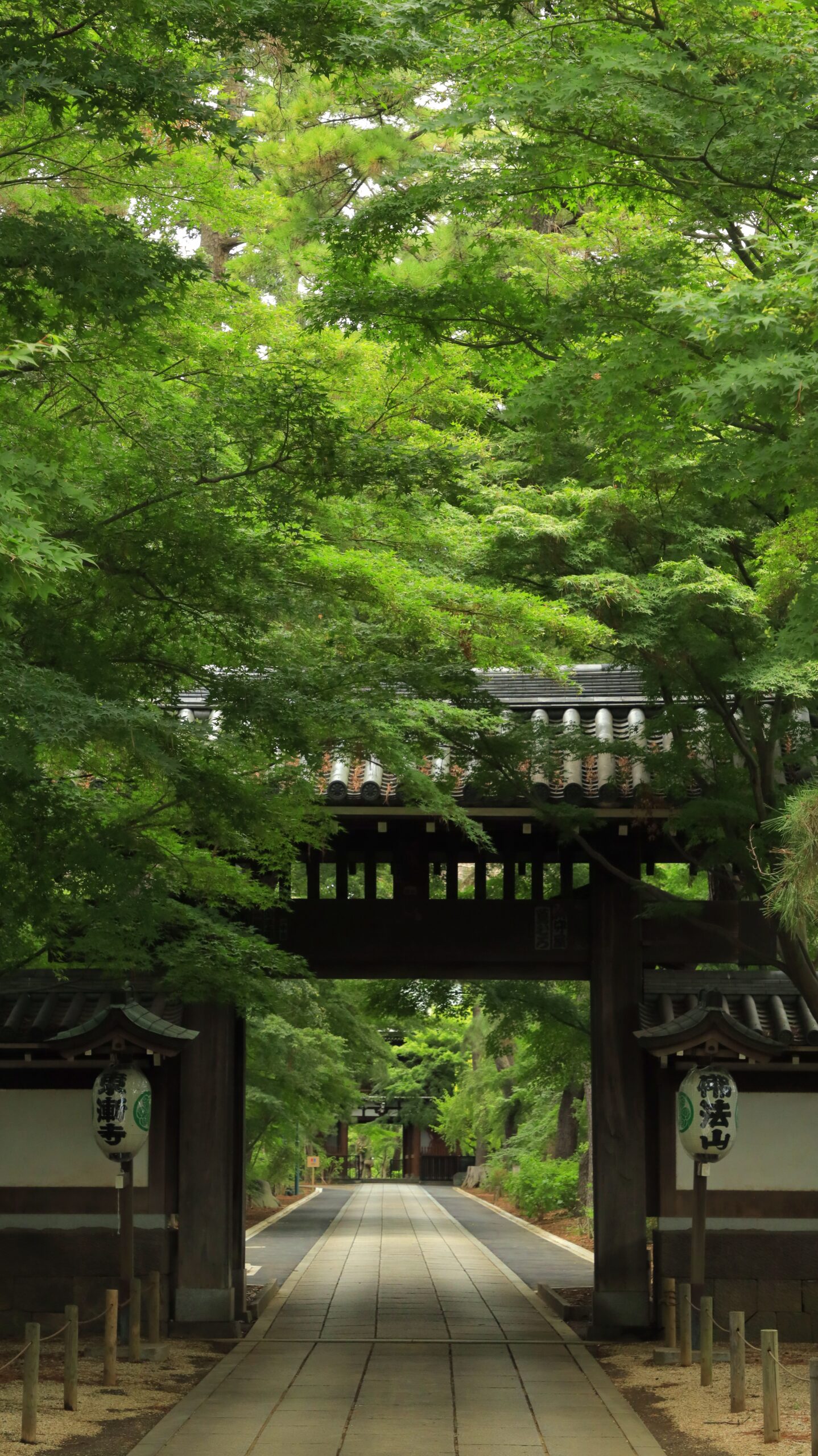 千葉県の東漸寺の入り口付近にある門を撮影し、緑を明るめに表現して柔らかい雰囲気を感じさせる写真