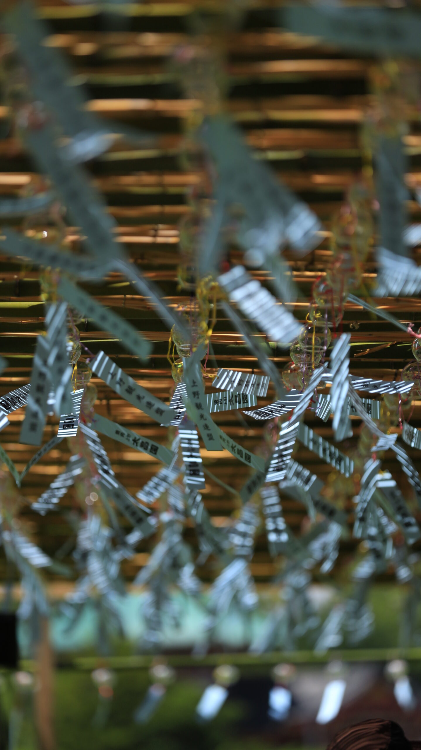 Wind chimes swaying in the breeze at Shinobazu Pond and the striking play of light and shadow reflected on its surface